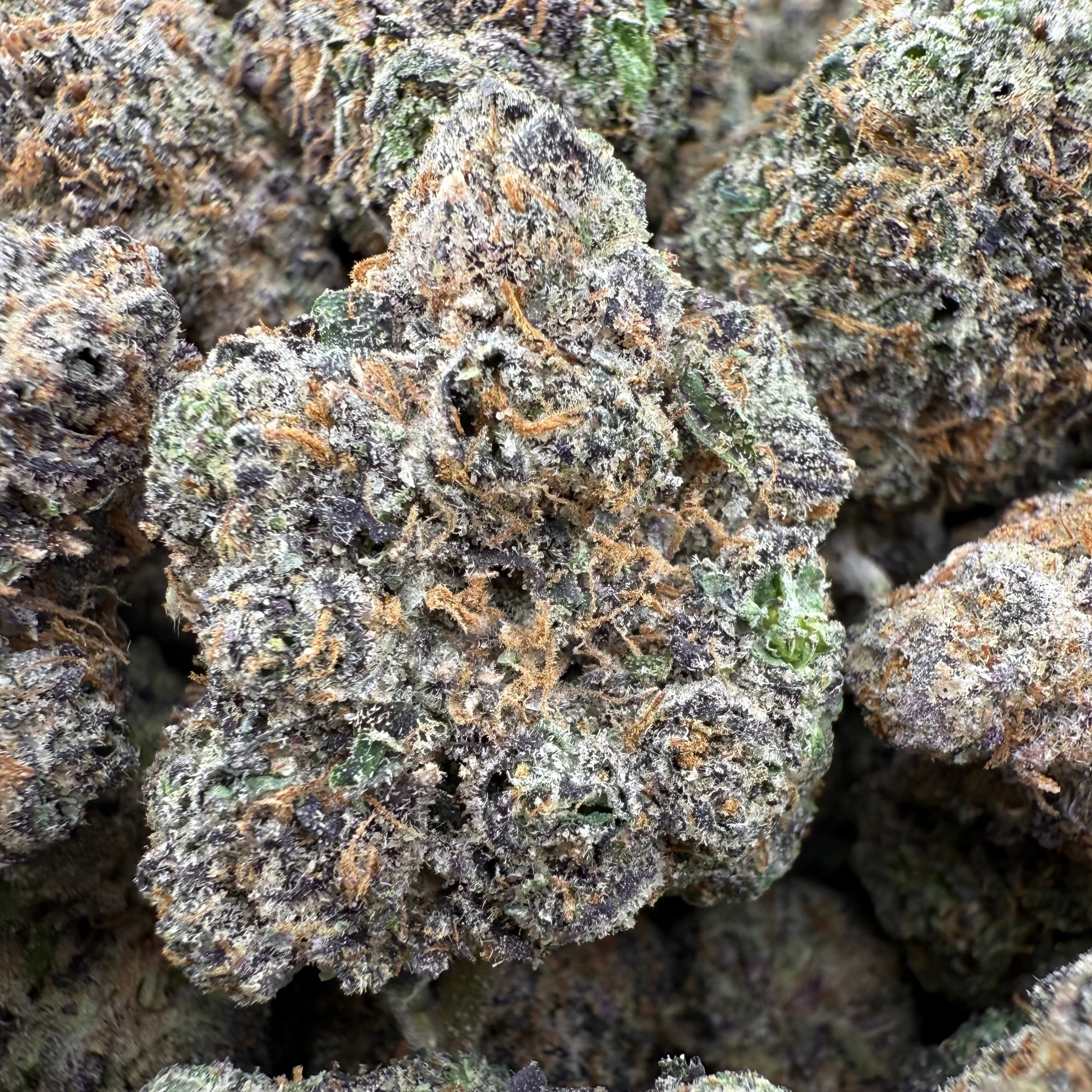 Lemon Cherry Gelato