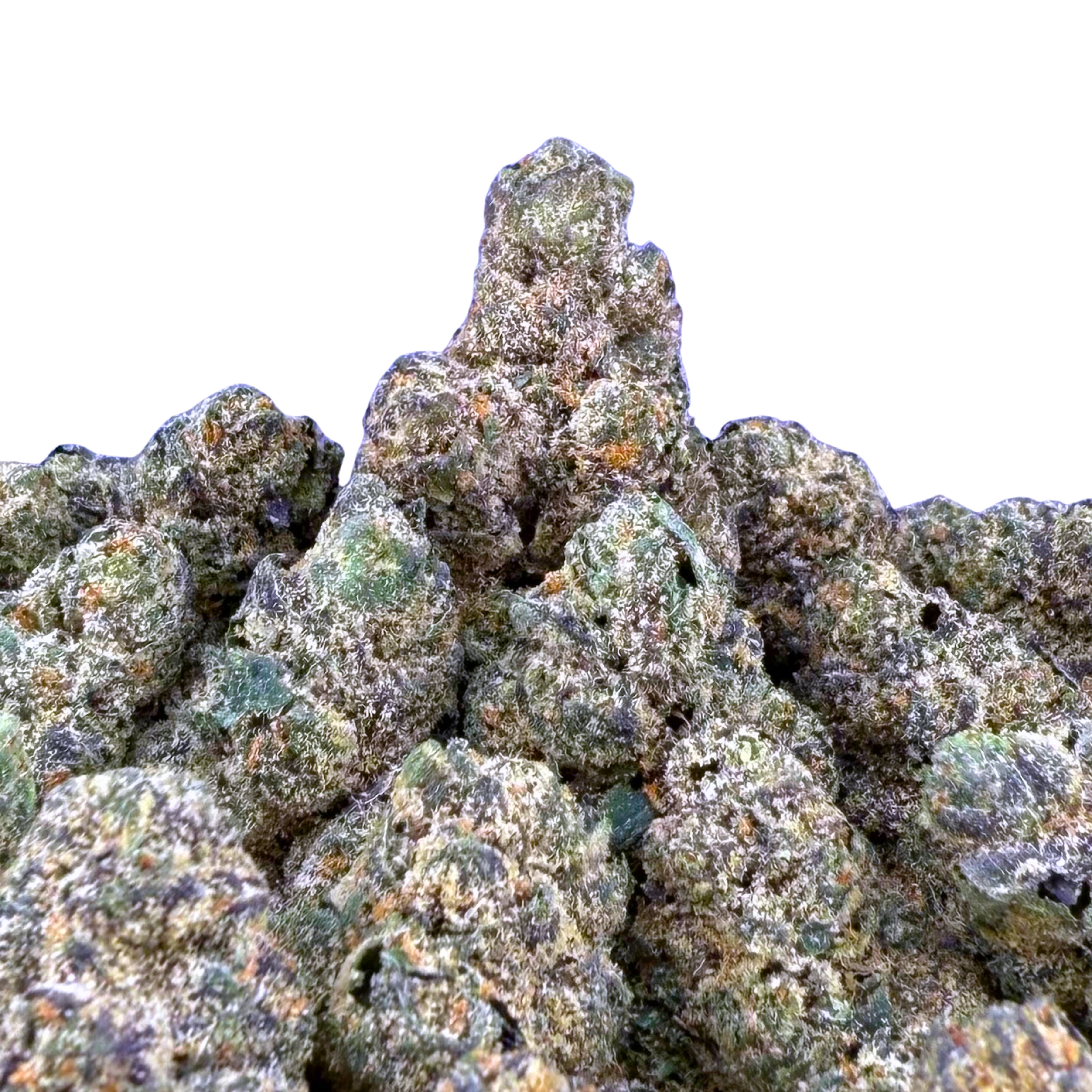 Lemon Cherry Sorbet  ( Wholesale )