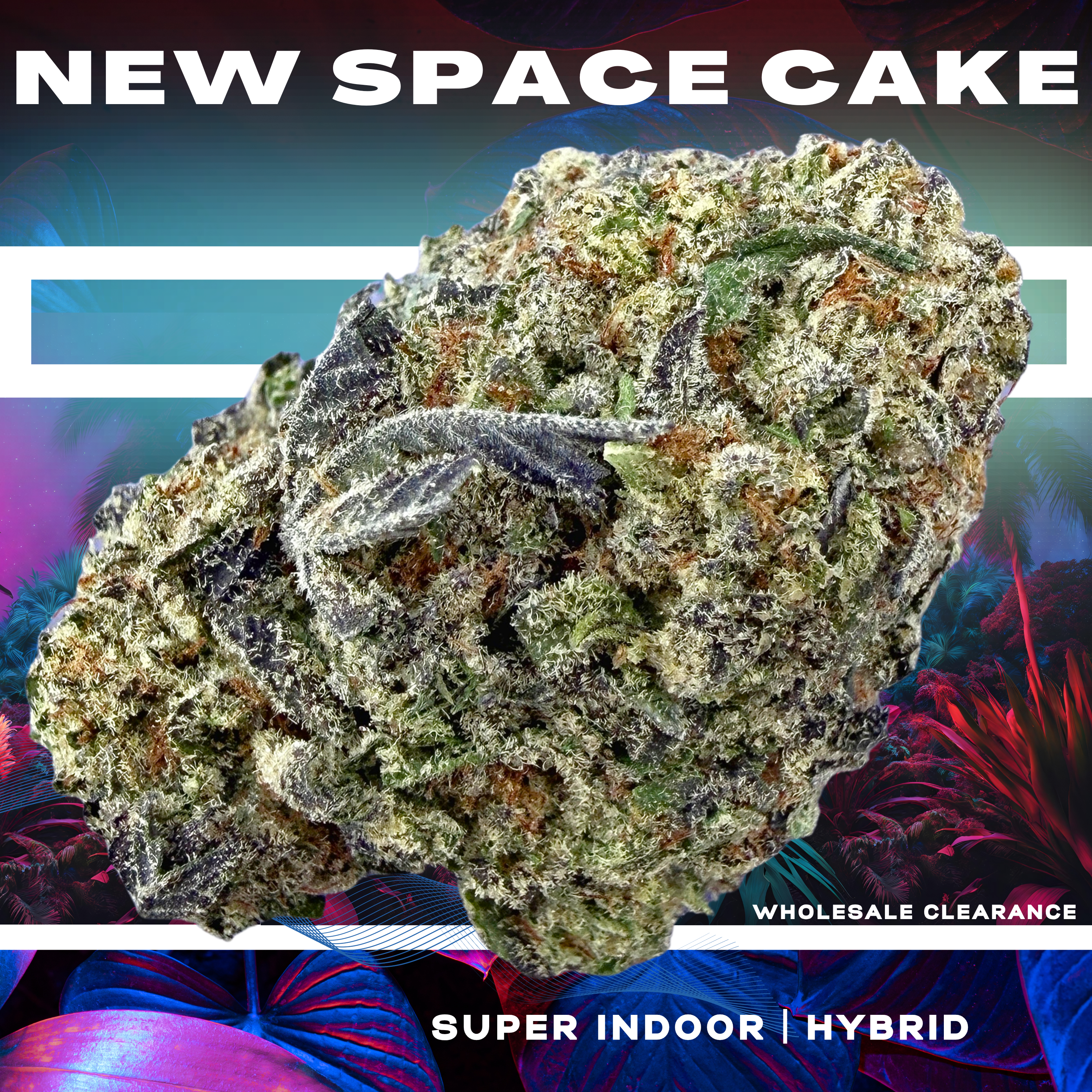 New Space Cake (Wholesale Clearance)
