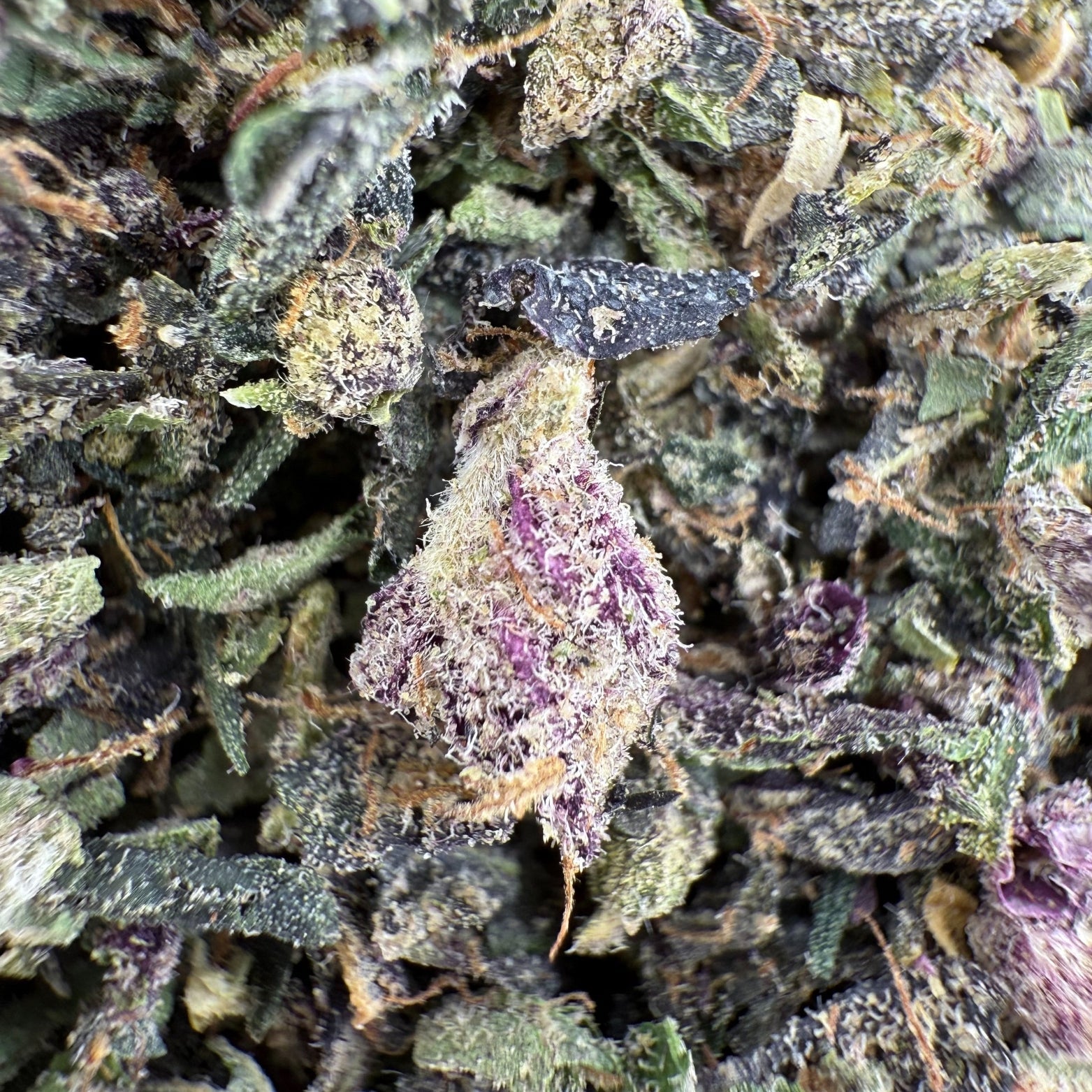 No4. Purple Cream THCa Shake