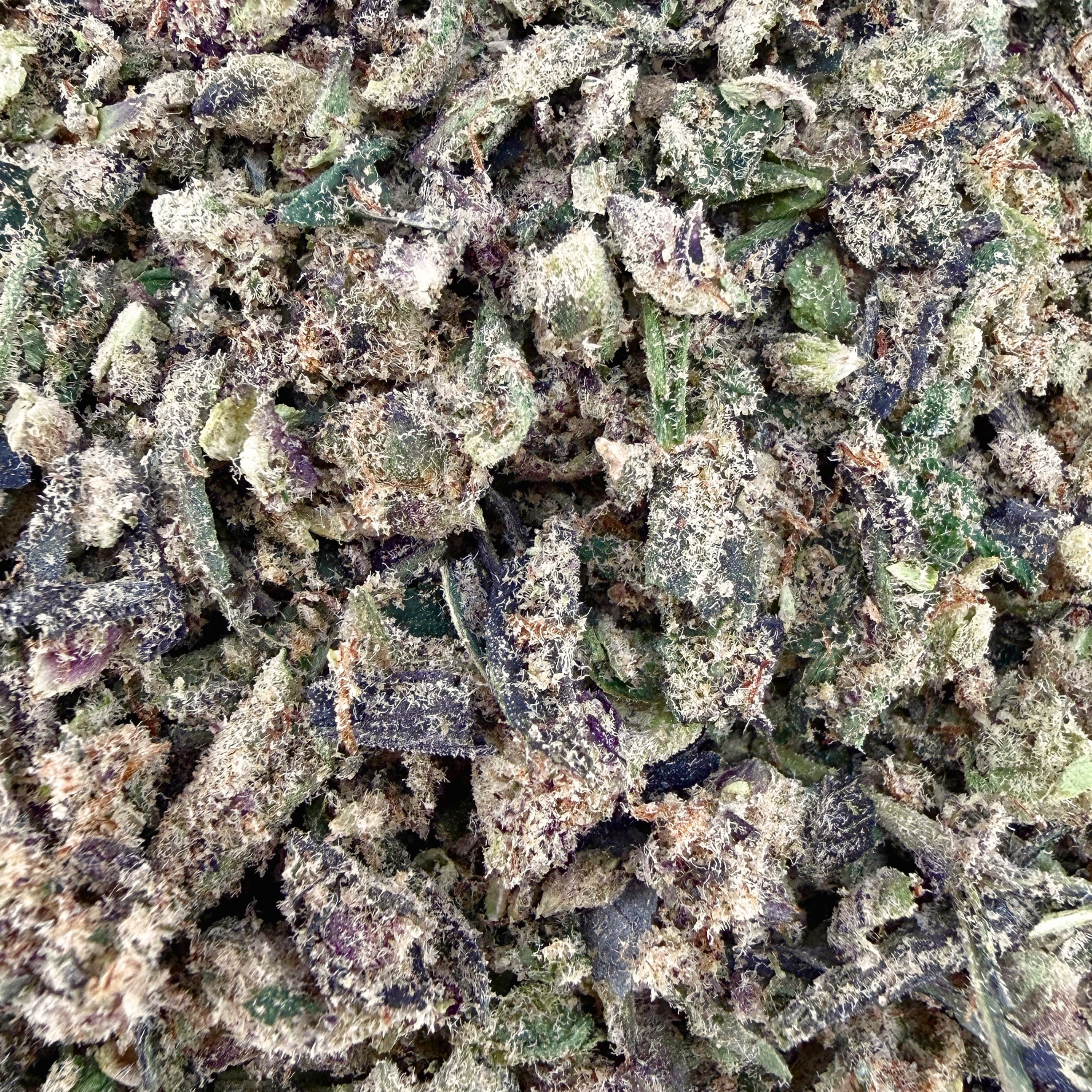 No5. Sherbet THCa Shake