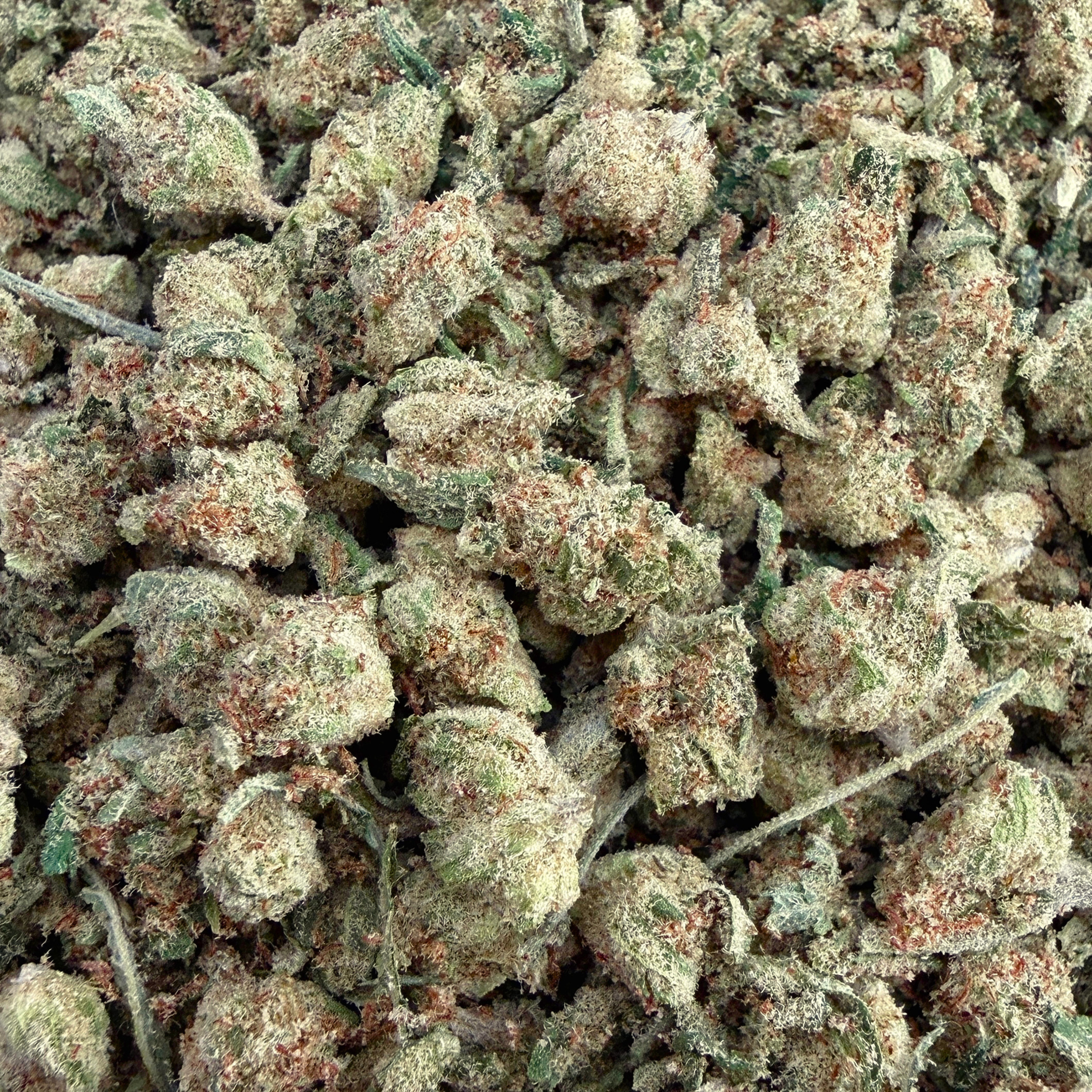 No6 New. Gush Mints THCa Shake