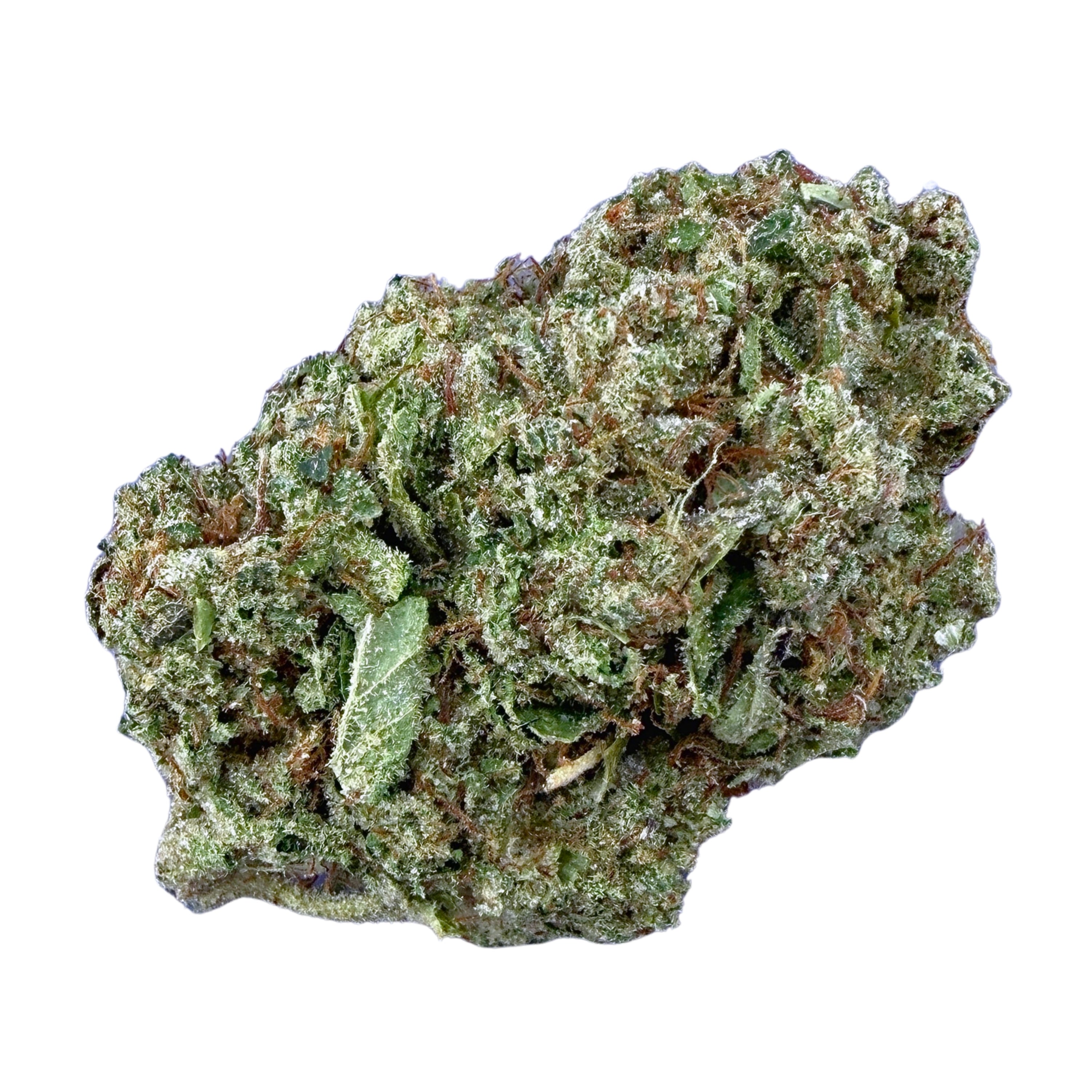 OG Kush (Wholesale)