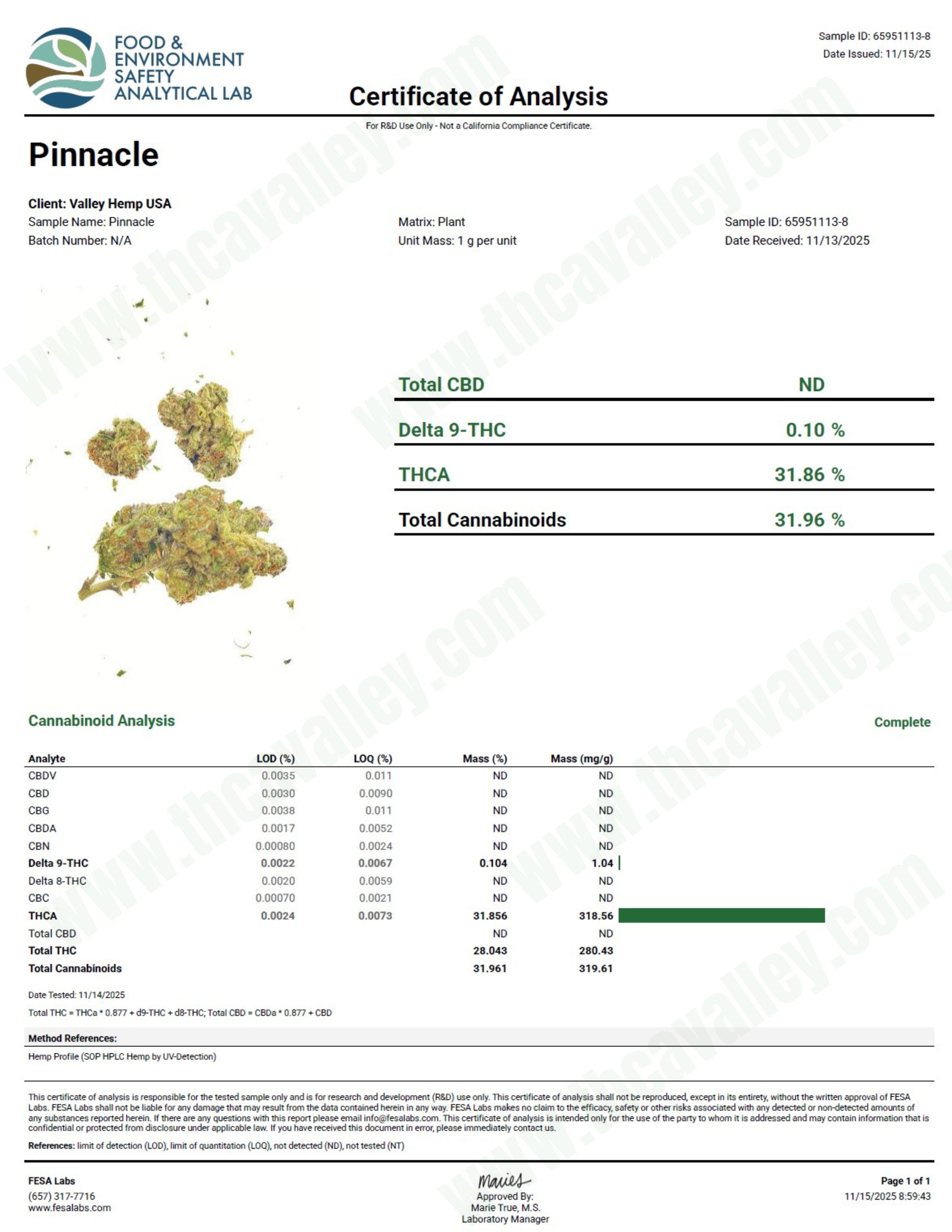 Pinnacle