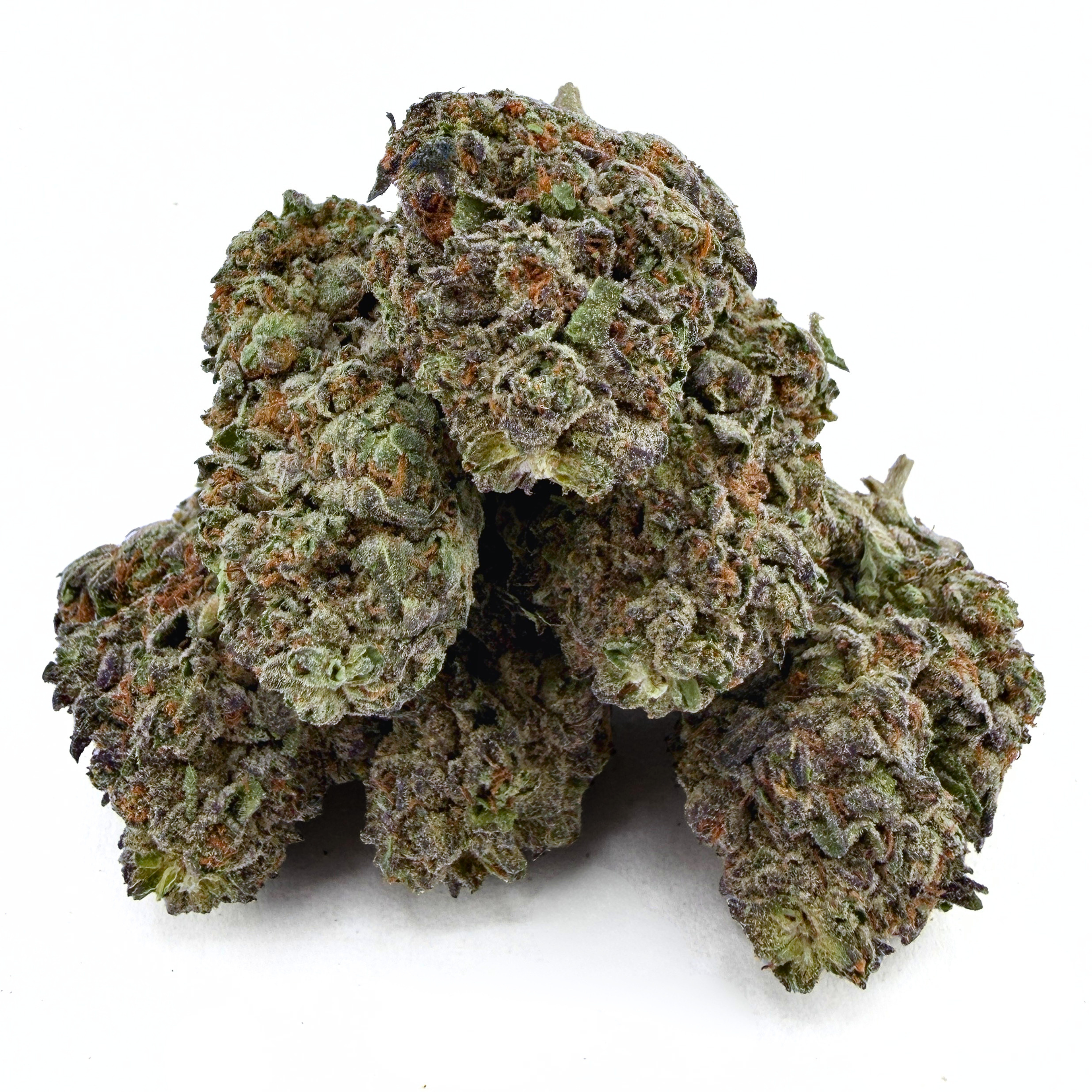 Purple Push Pop (Wholesale)