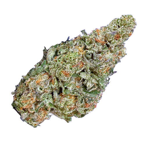 Space Cake (Wholesale)