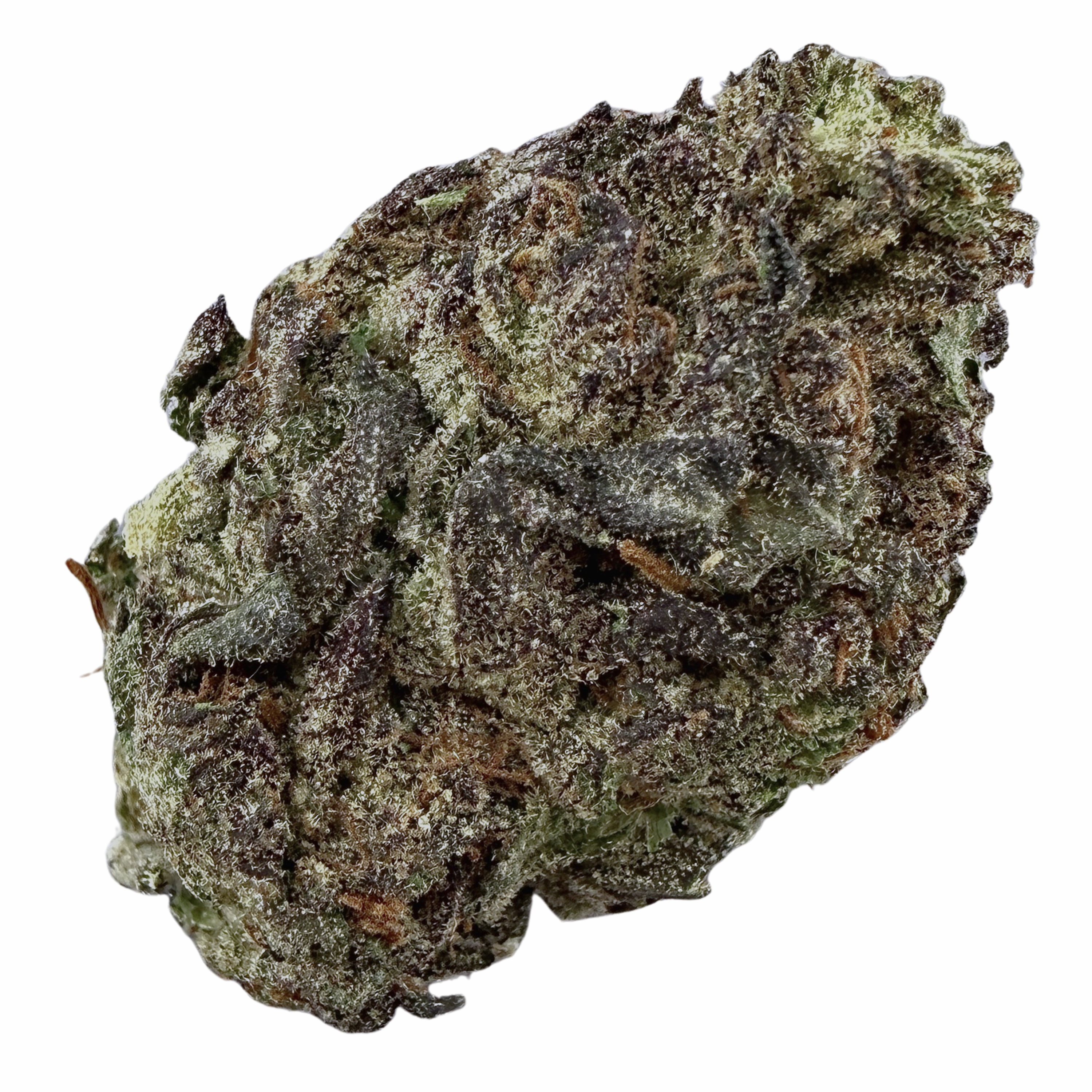 Space Cake (Wholesale)