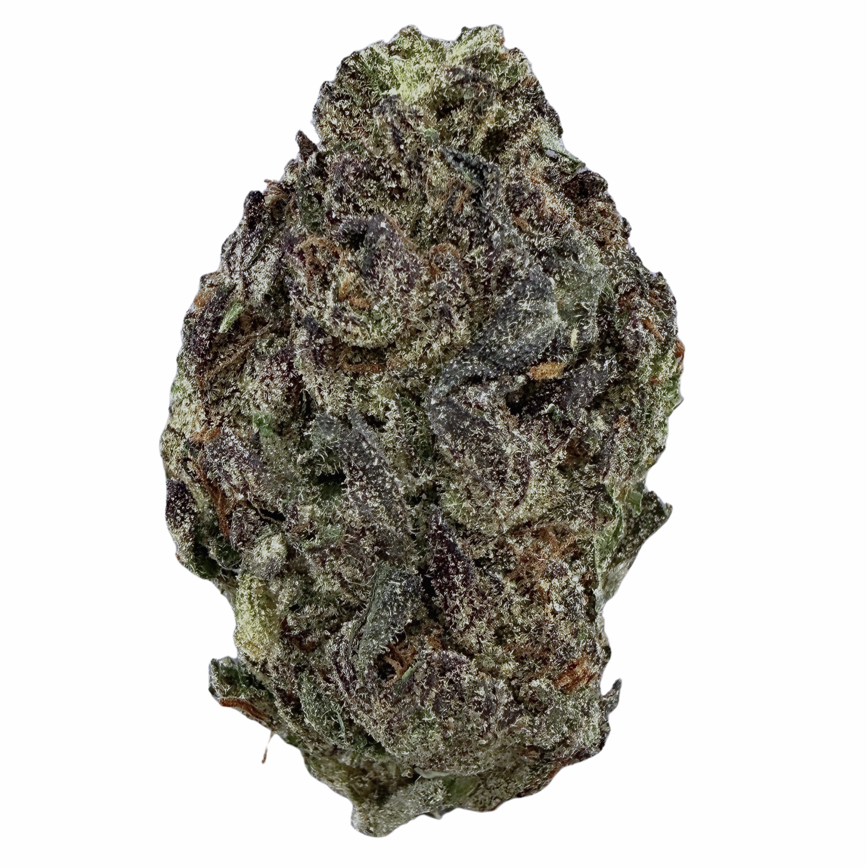 Space Cake (Wholesale)