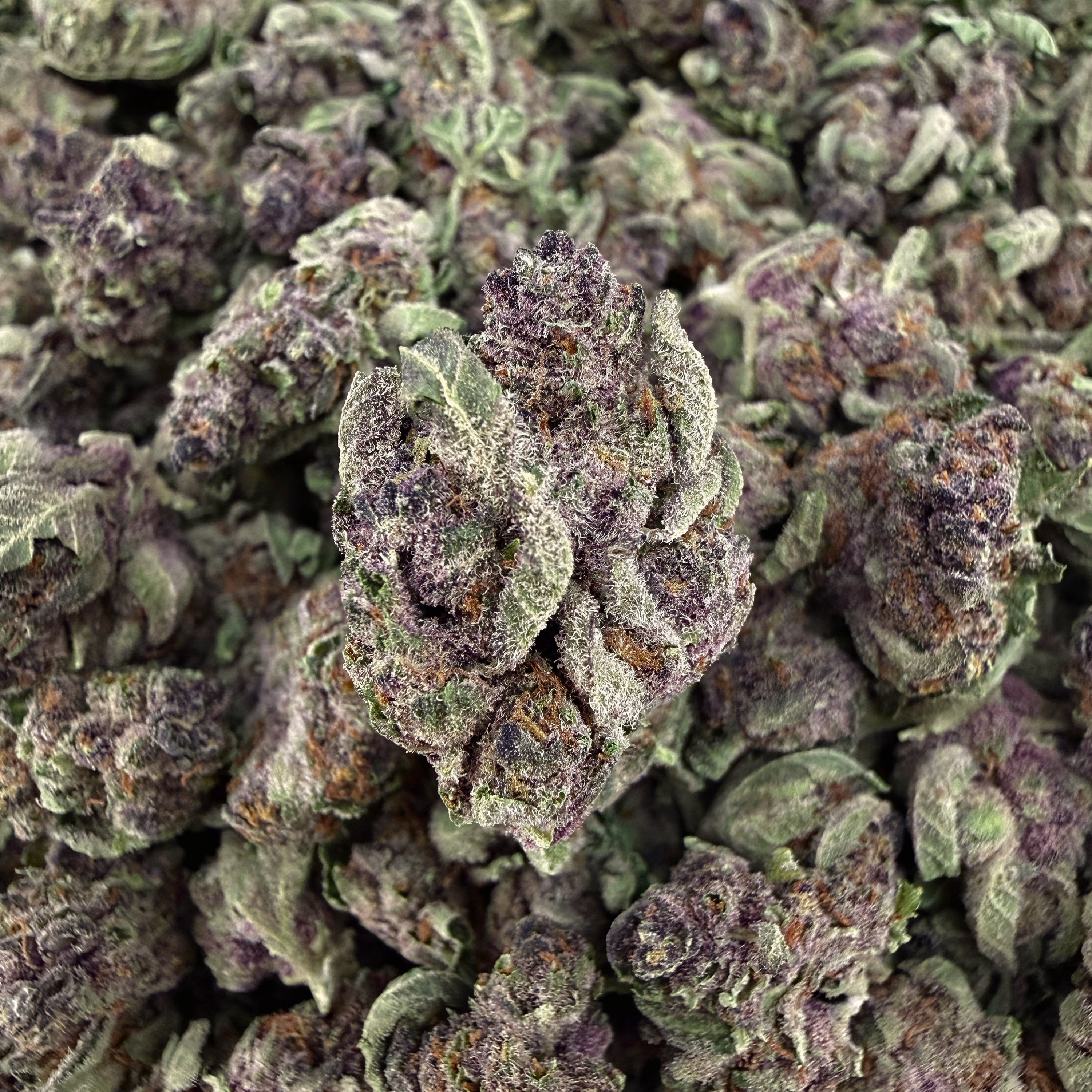 Tropicana Cherries THCa Smalls