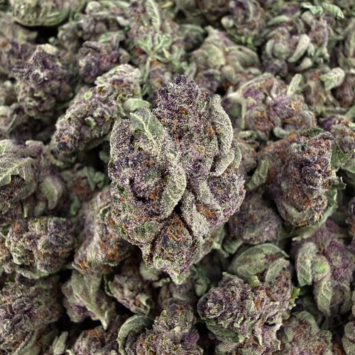 Tropicana Cherries THCa Smalls