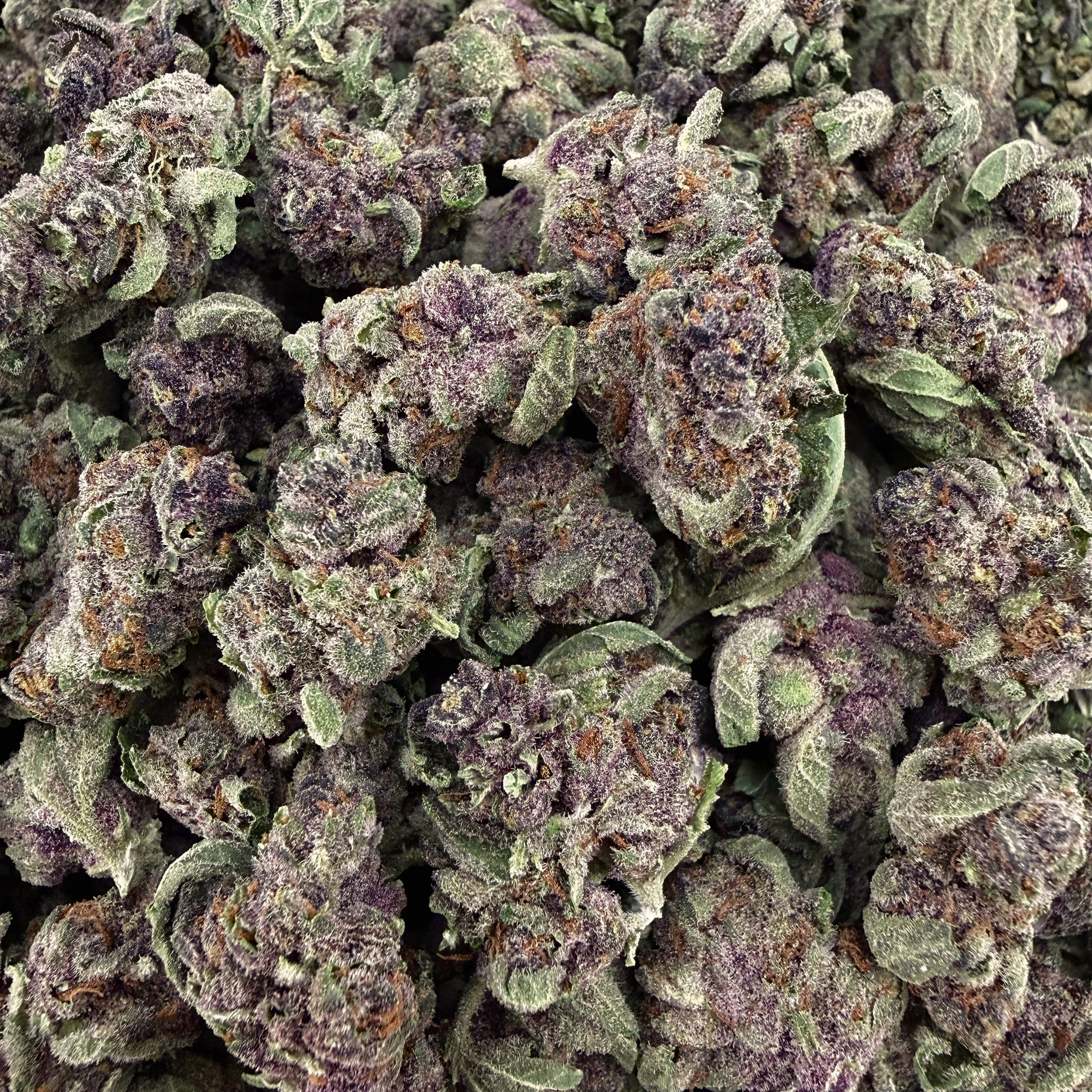Tropicana Cherries THCa Smalls