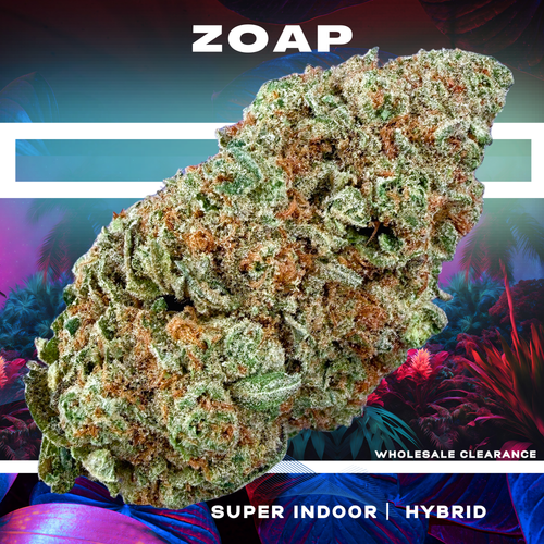 Zoap (Wholesale Clearance)