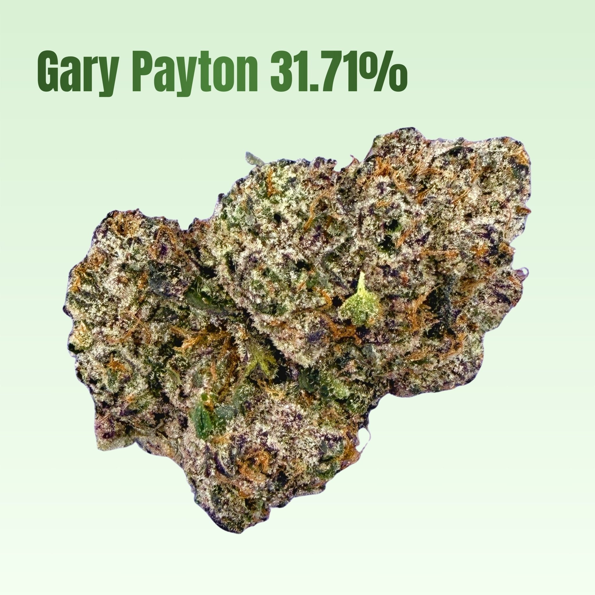 All 4 Loud - Clock's Ticking - Valley Hemp