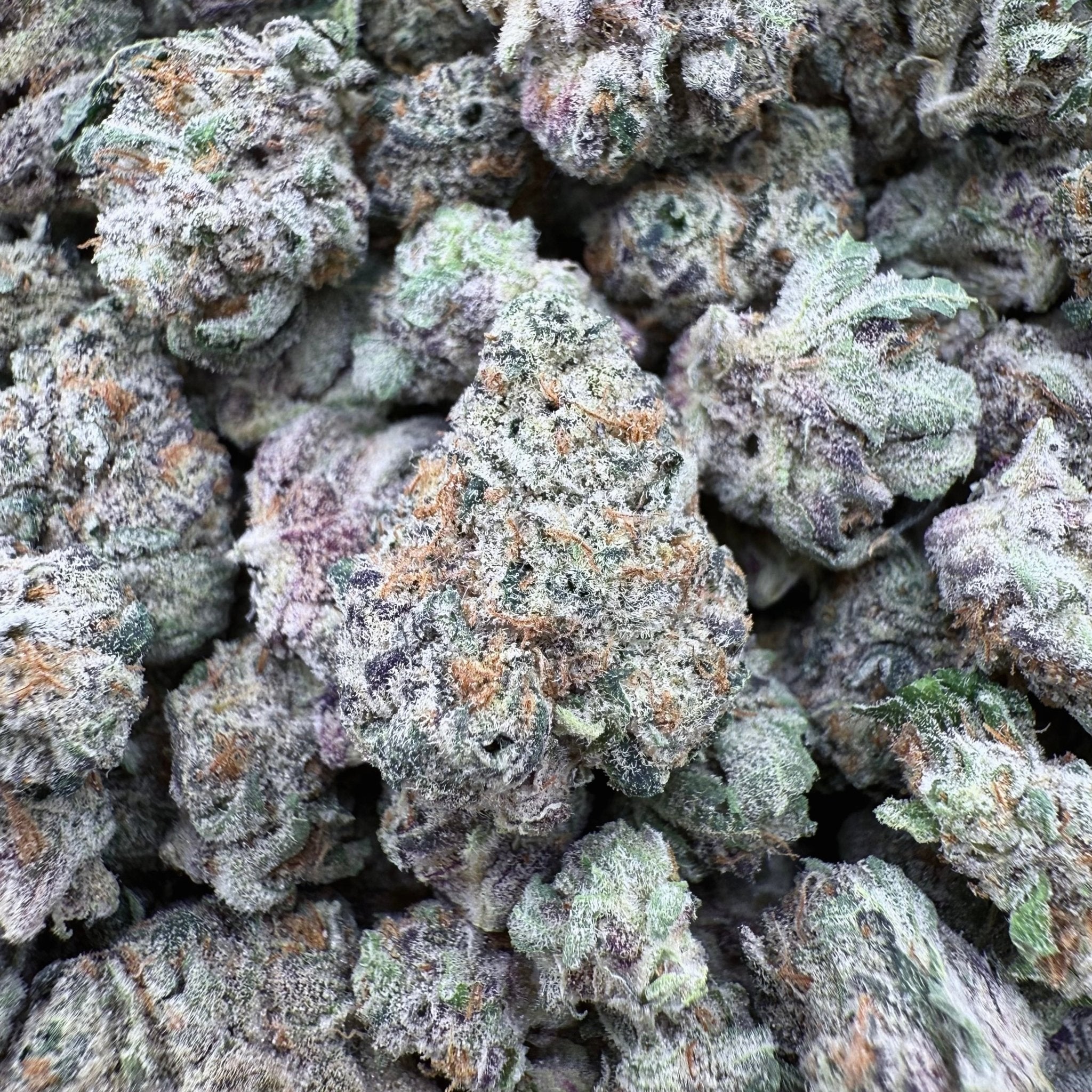 Amaretto Mintz THCa Exotic Smalls - Valley Hemp