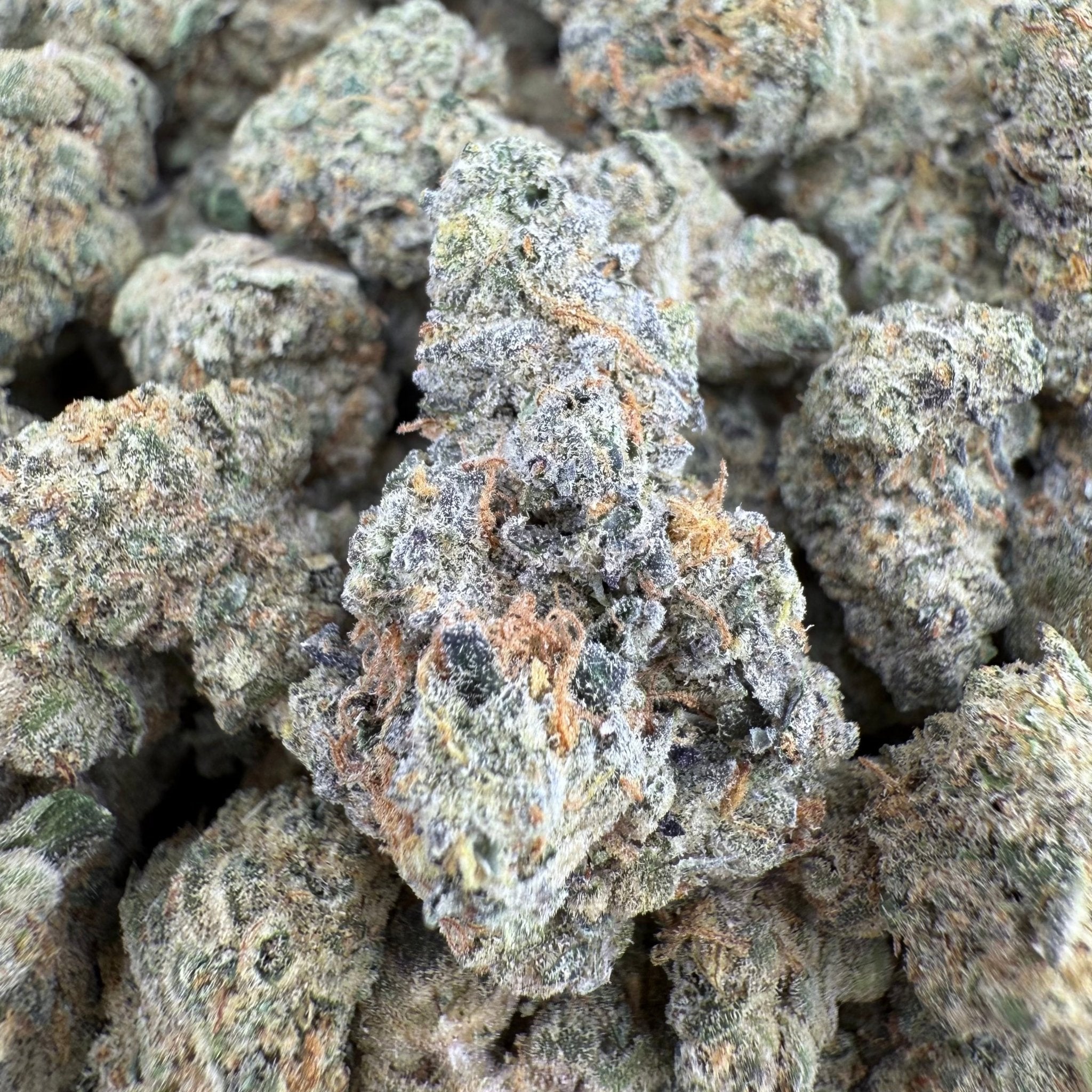 Baclo Gelato THCa Smalls (Wholesale) - Valley Hemp