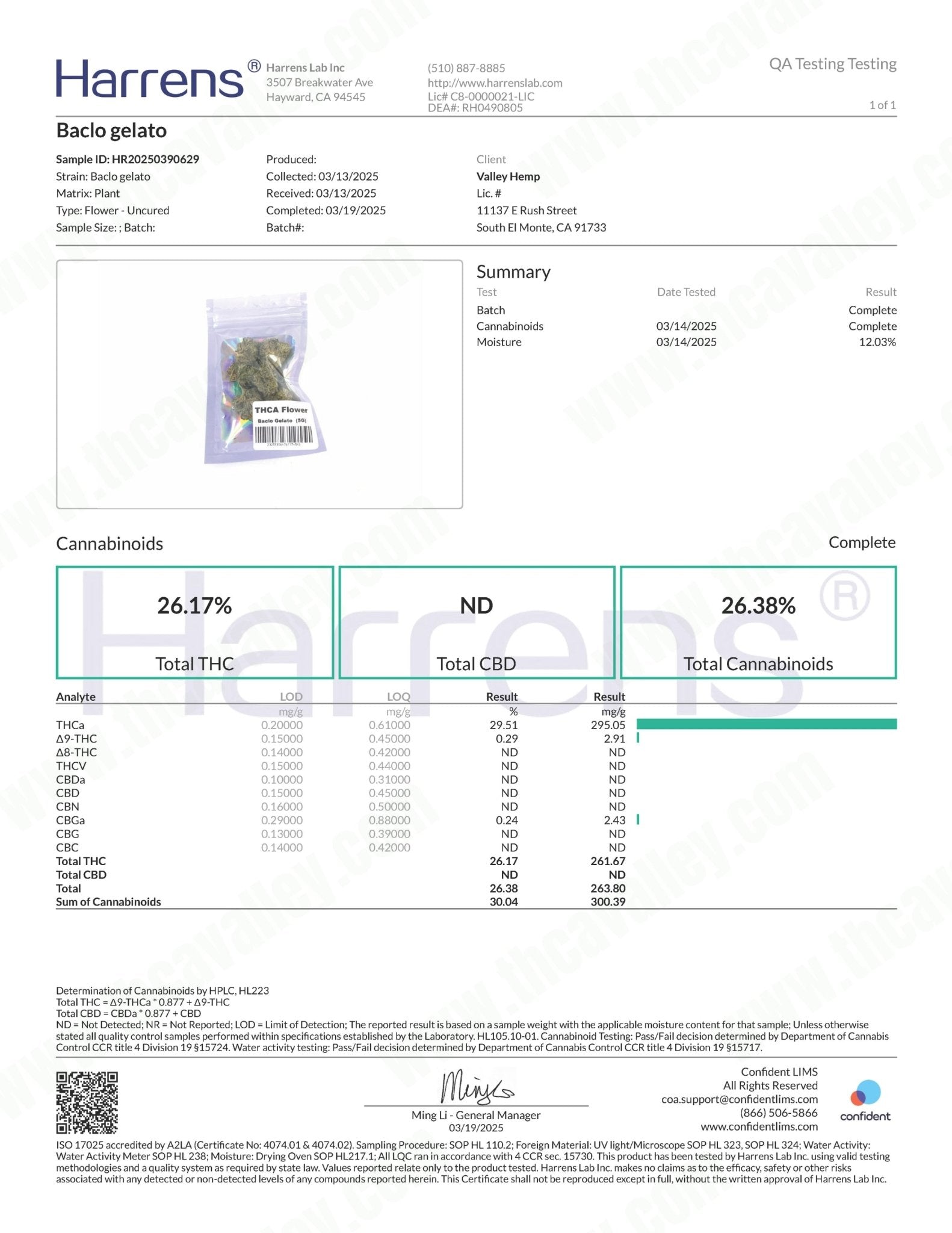 Baclo Gelato THCa Smalls (Wholesale) - Valley Hemp