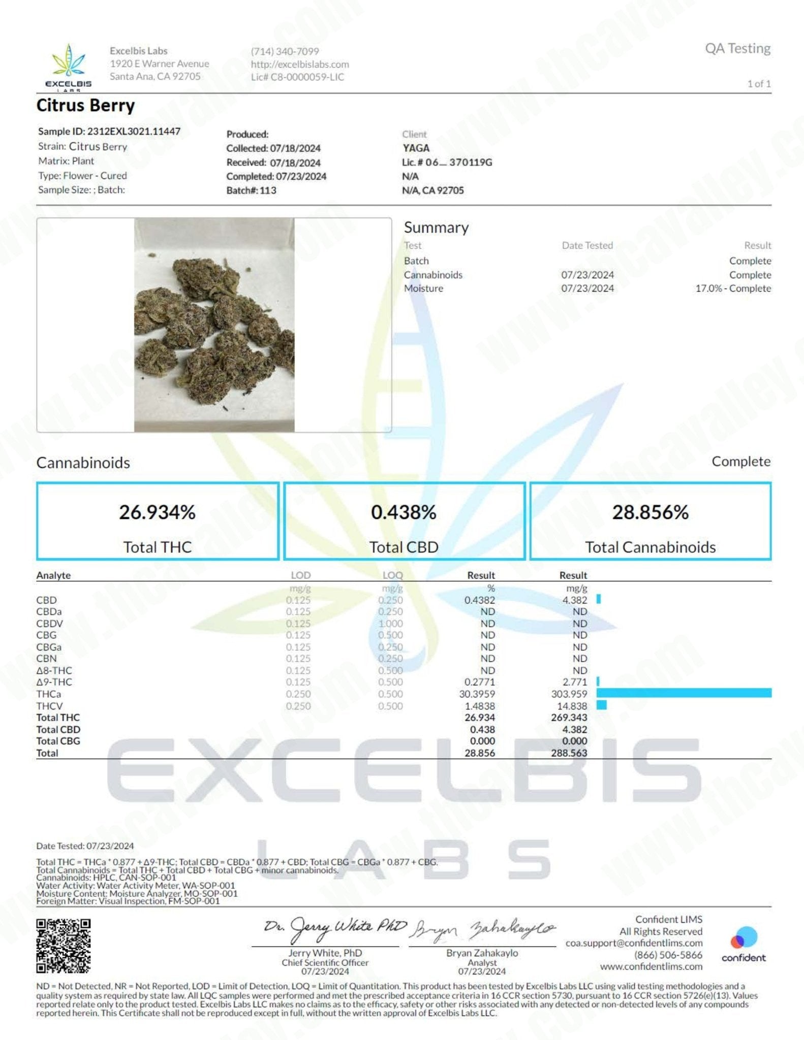 Best Citrus Berry (Wholesale) - Valley Hemp