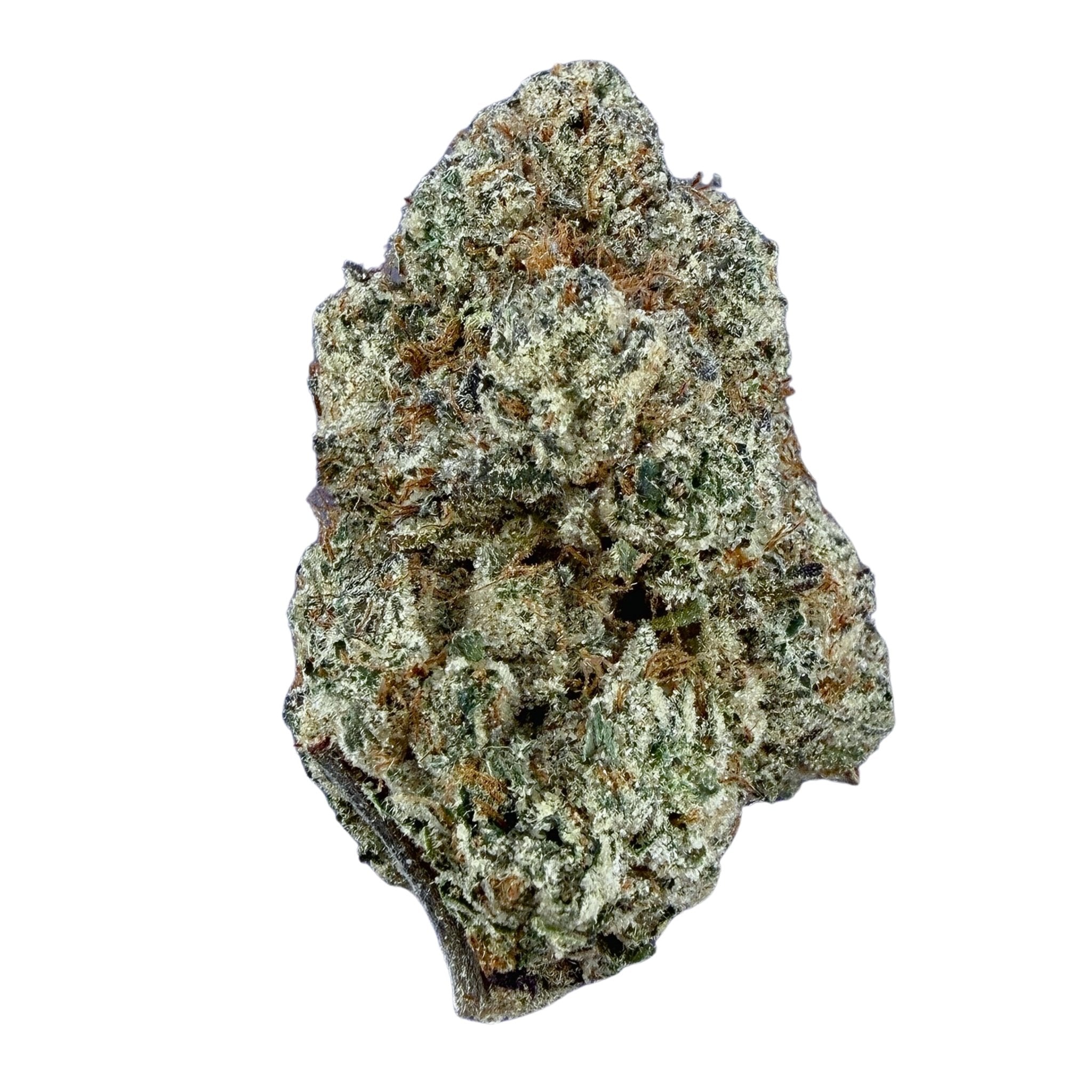 Biscotti (Wholesale) - Valley Hemp