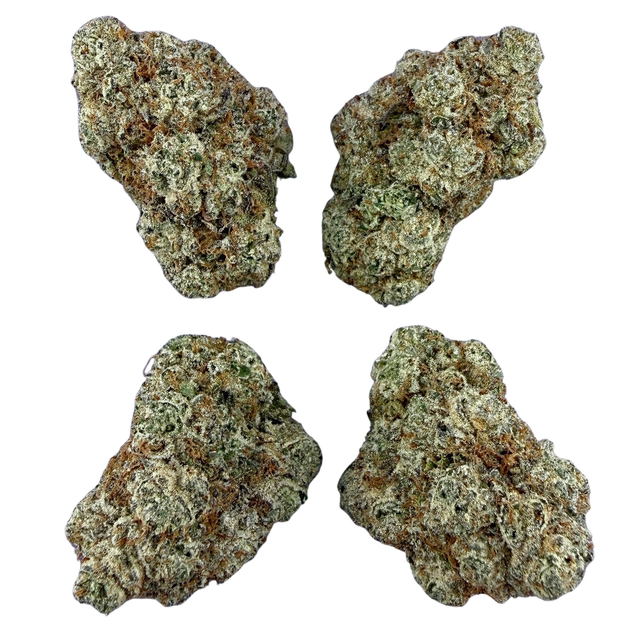 Biscotti (Wholesale) - Valley Hemp