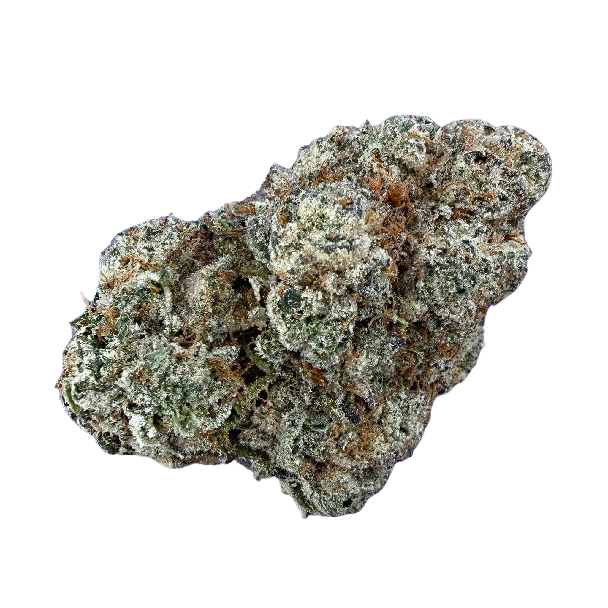 Biscotti (Wholesale) - Valley Hemp