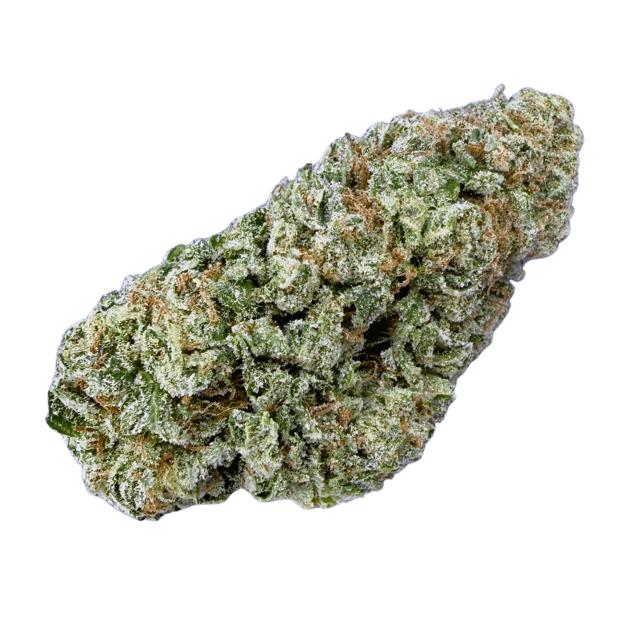 Biscotti (Wholesale) - Valley Hemp