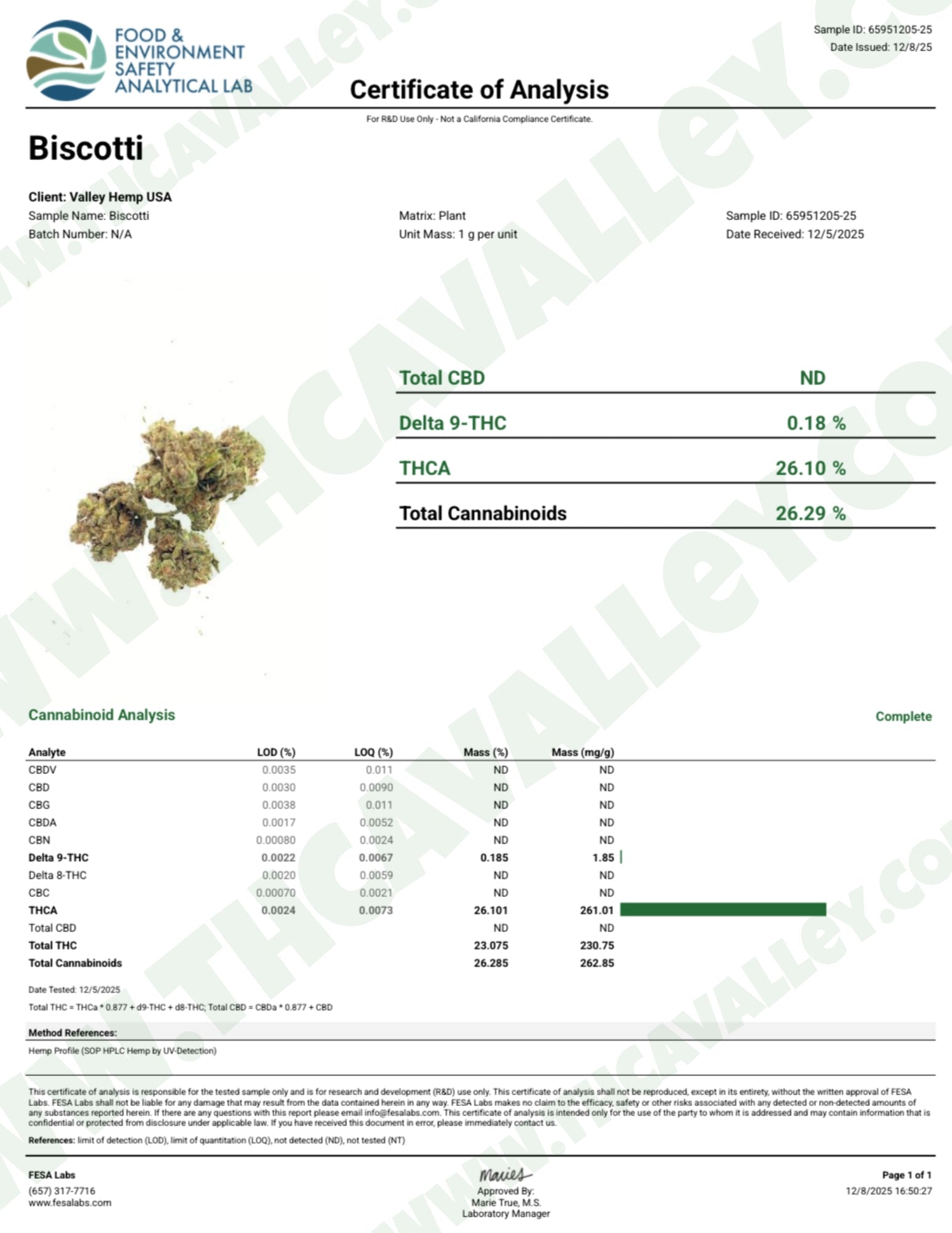 Biscotti (Wholesale) - Valley Hemp