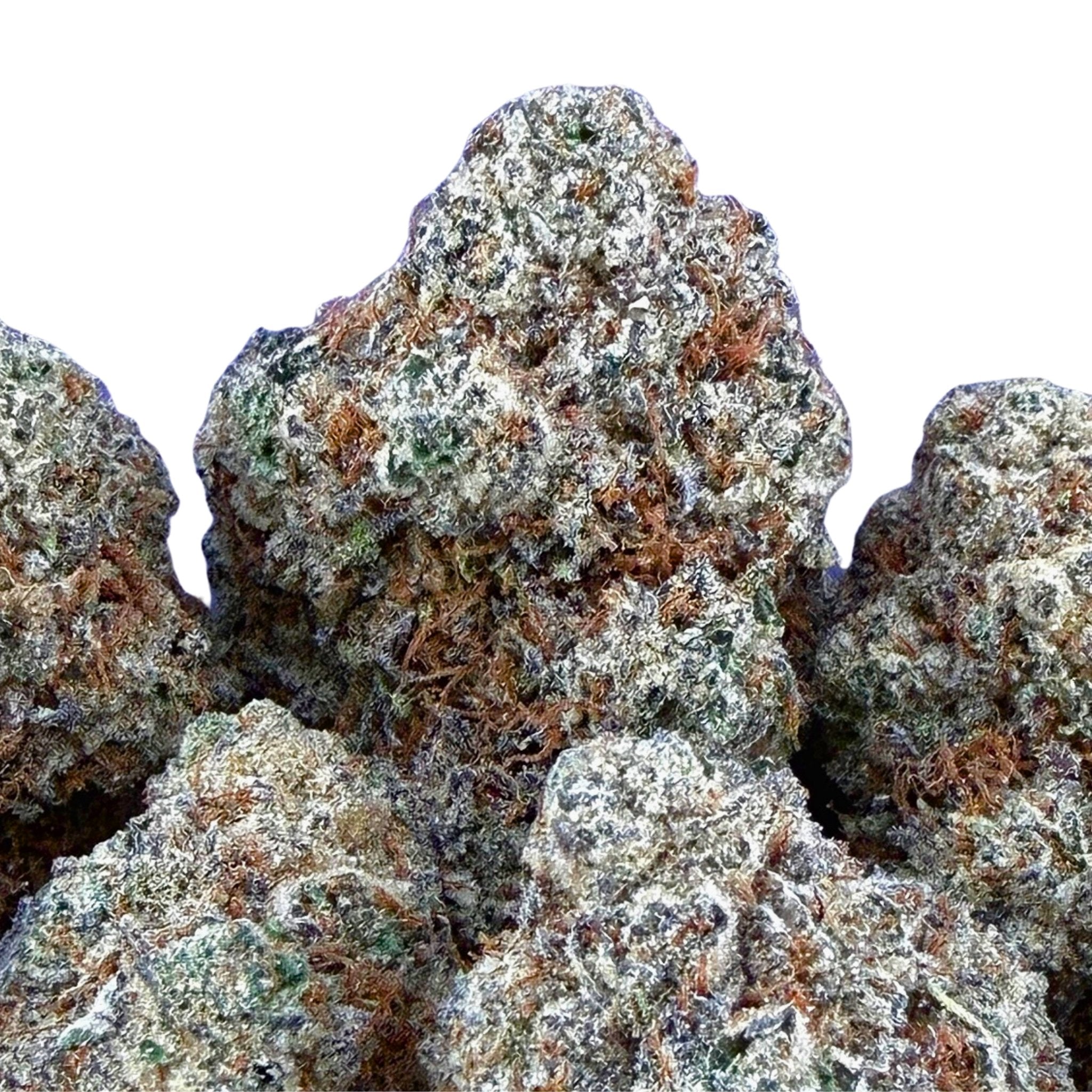 Biscotti (Wholesale) - Valley Hemp