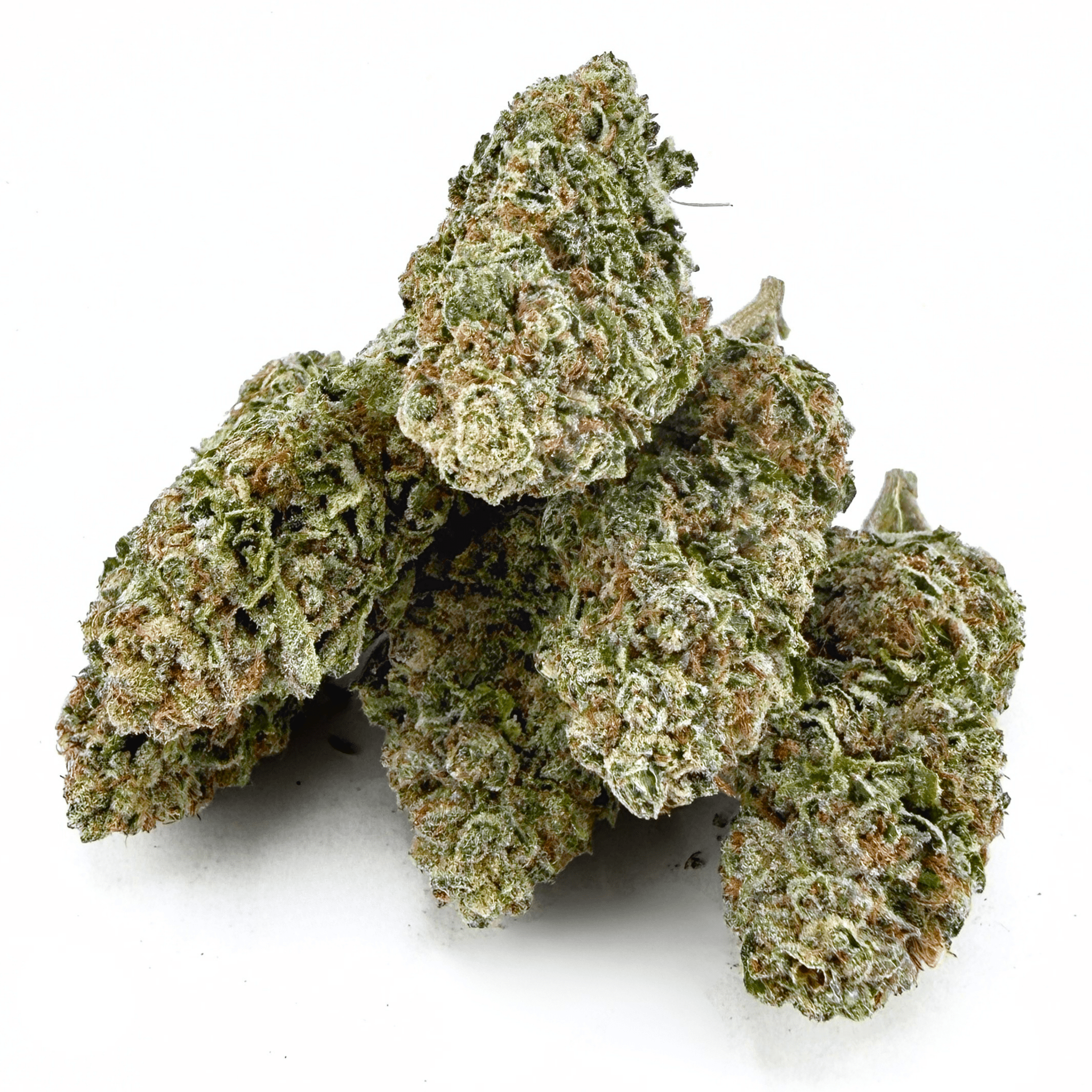 Biscotti (Wholesale) - Valley Hemp