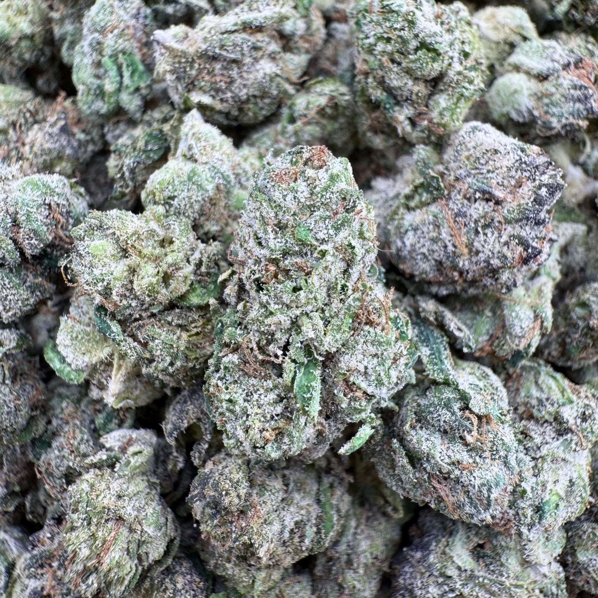 Black Cherry Gelato THCa Smalls (Wholesale) - Valley Hemp