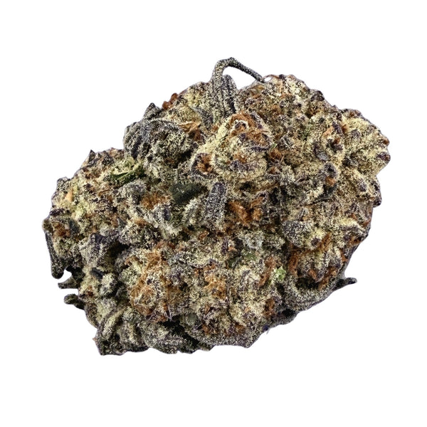 Black Cherry Gelato ( Wholesale ) - Valley Hemp