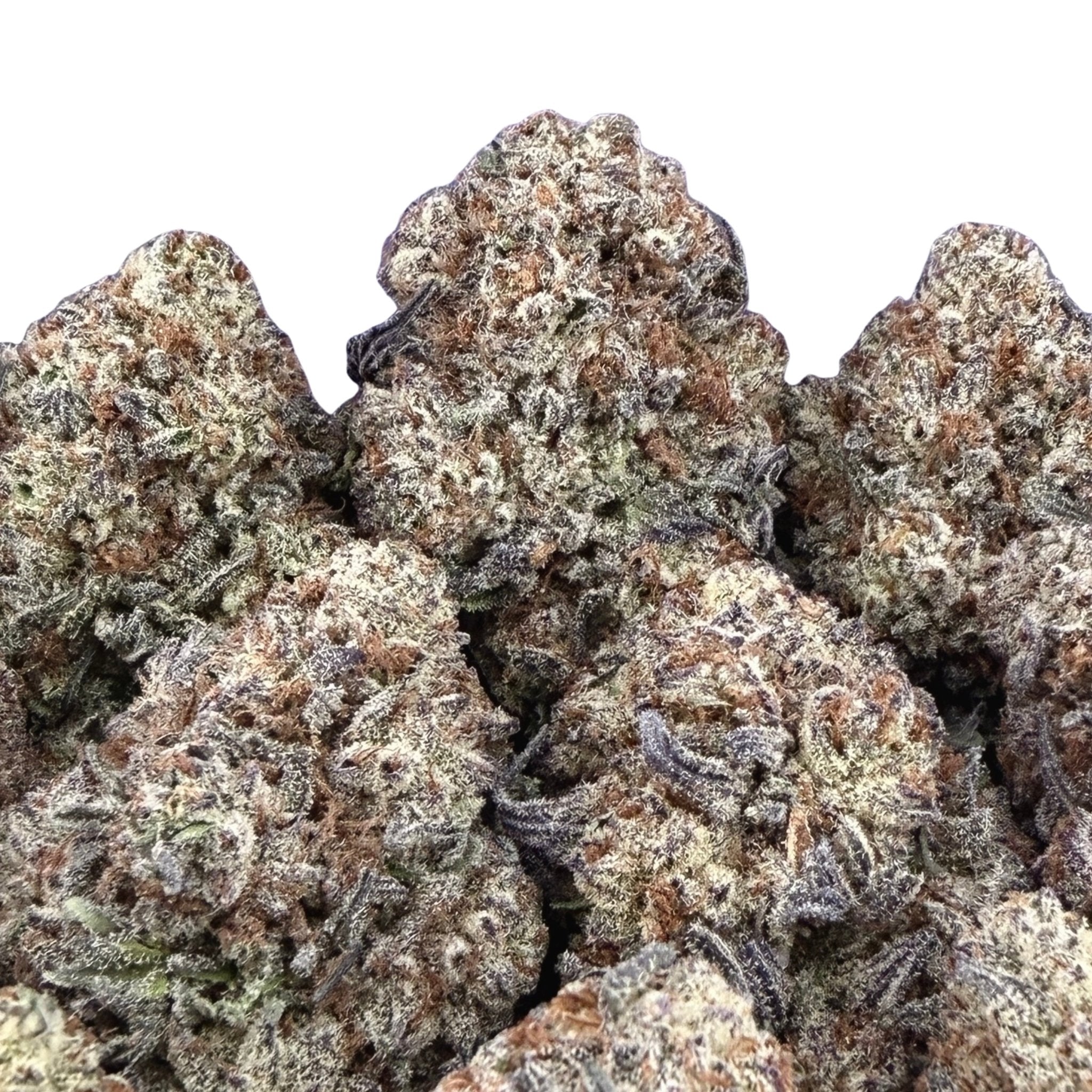 Black Cherry Gelato ( Wholesale ) - Valley Hemp