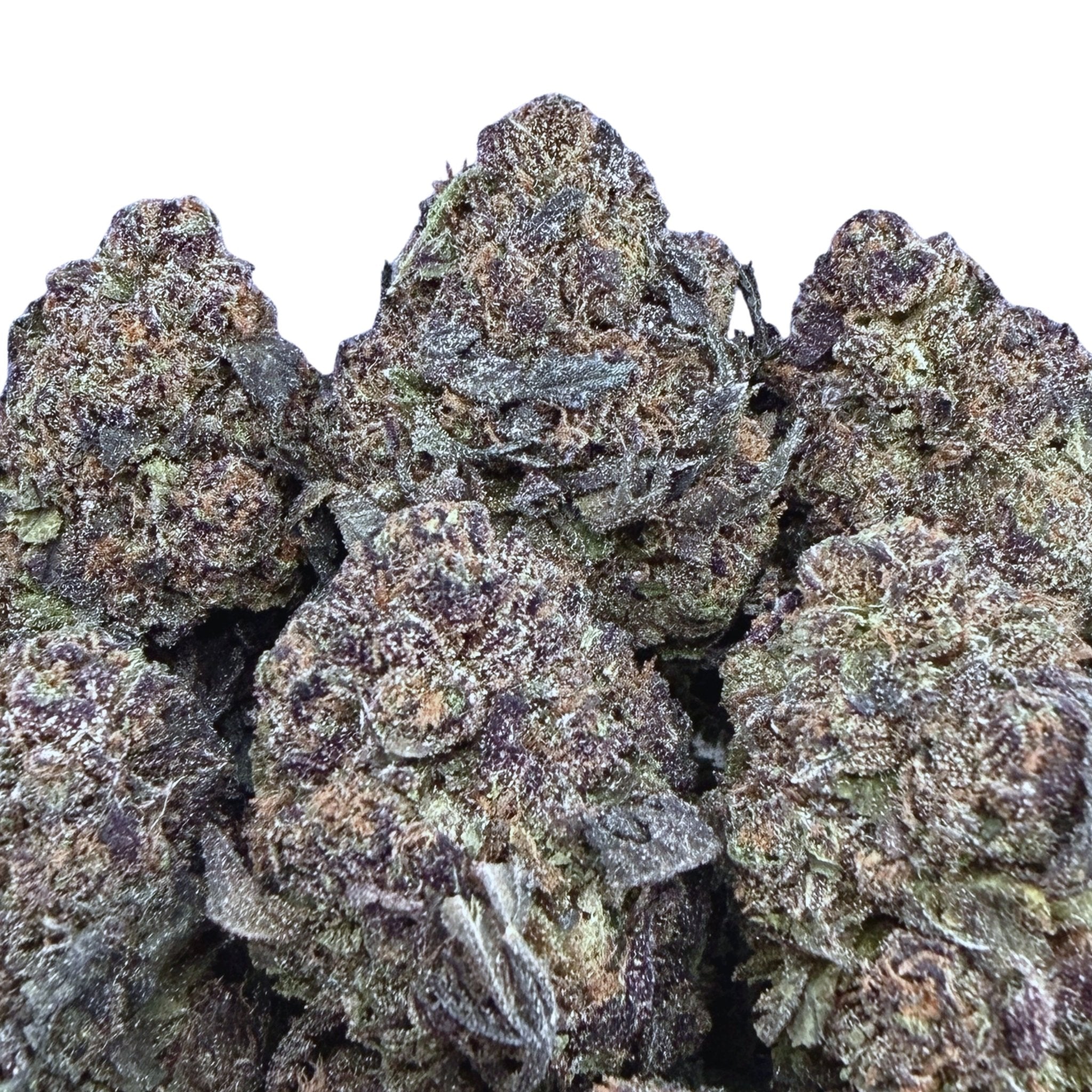 Black Icing - Valley Hemp