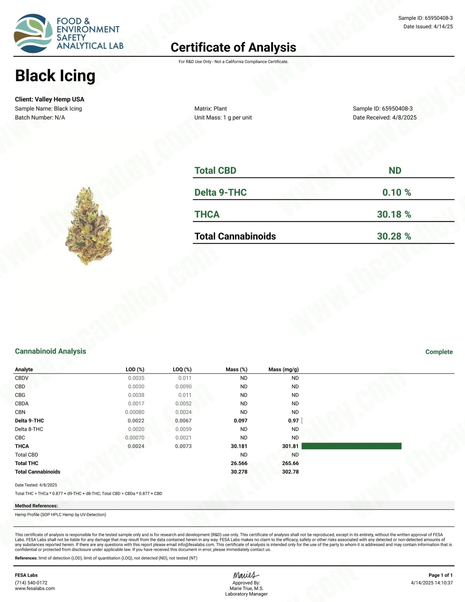 Black Icing - Valley Hemp