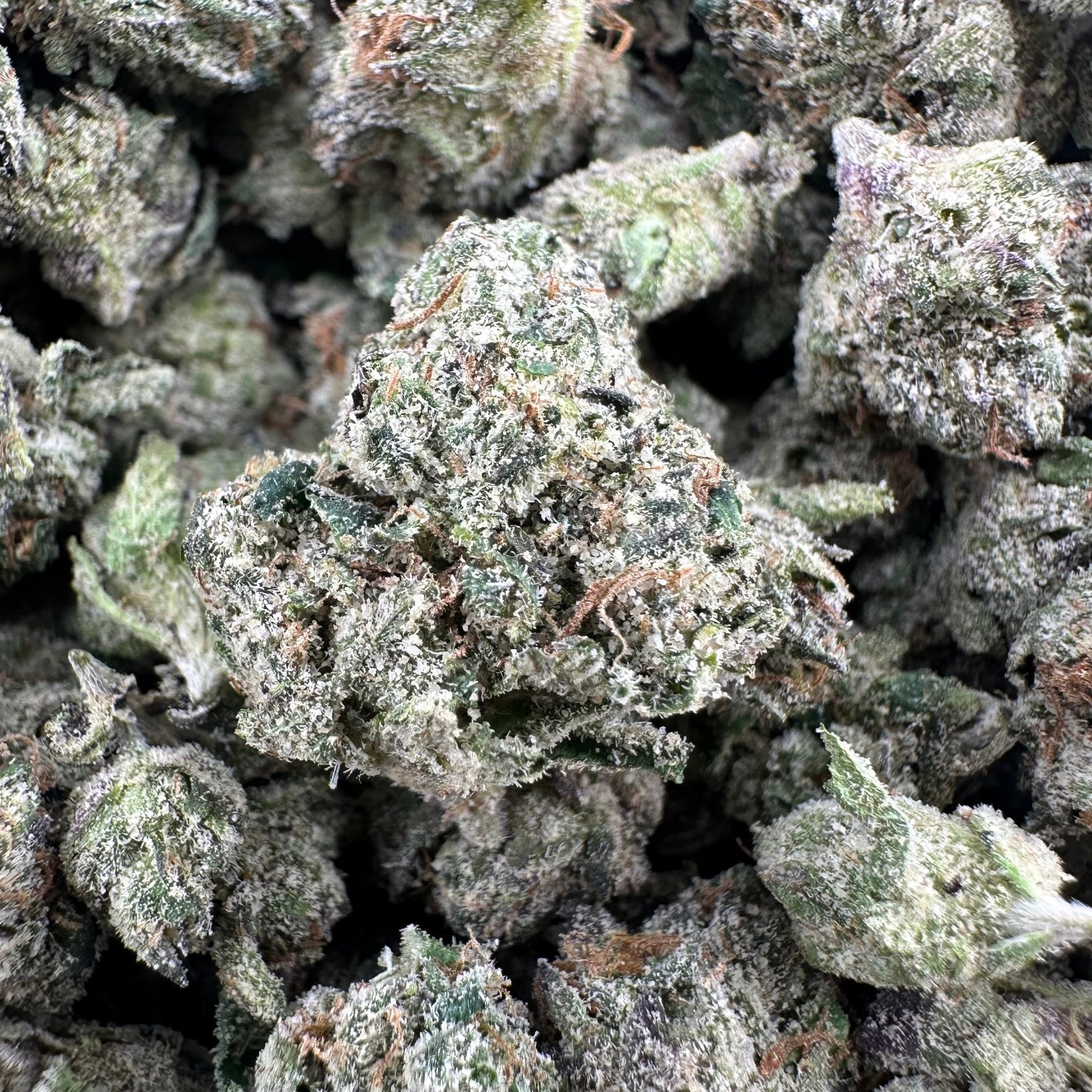 Blackberry Runtz THCa Smalls (Wholesale) - Valley Hemp