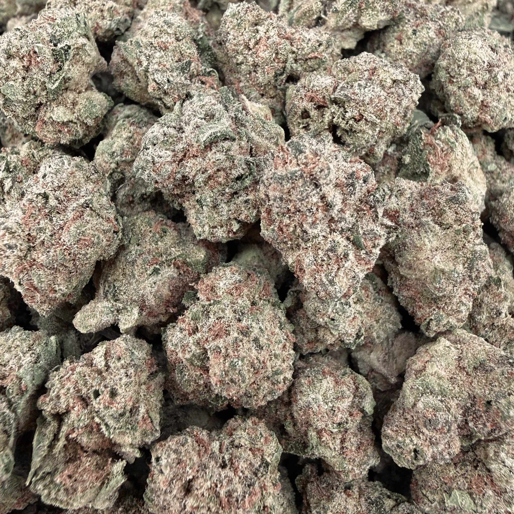 Blue Limonene THCa Smalls (Wholesale) - Valley Hemp