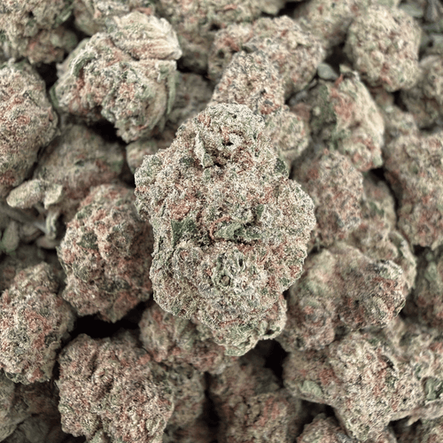 Blue Limonene THCa Smalls (Wholesale) - Valley Hemp
