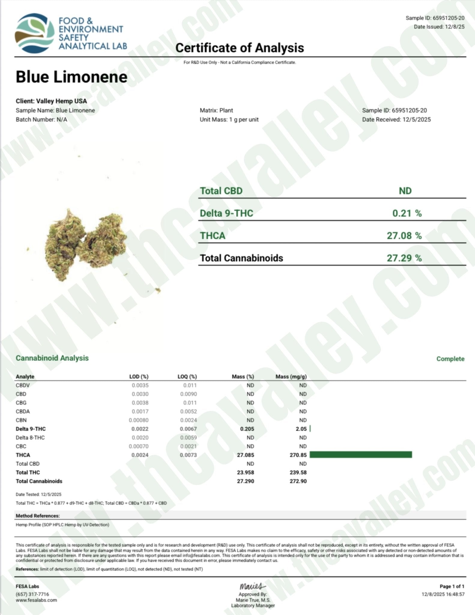 Blue Limonene (Wholesale) - Valley Hemp
