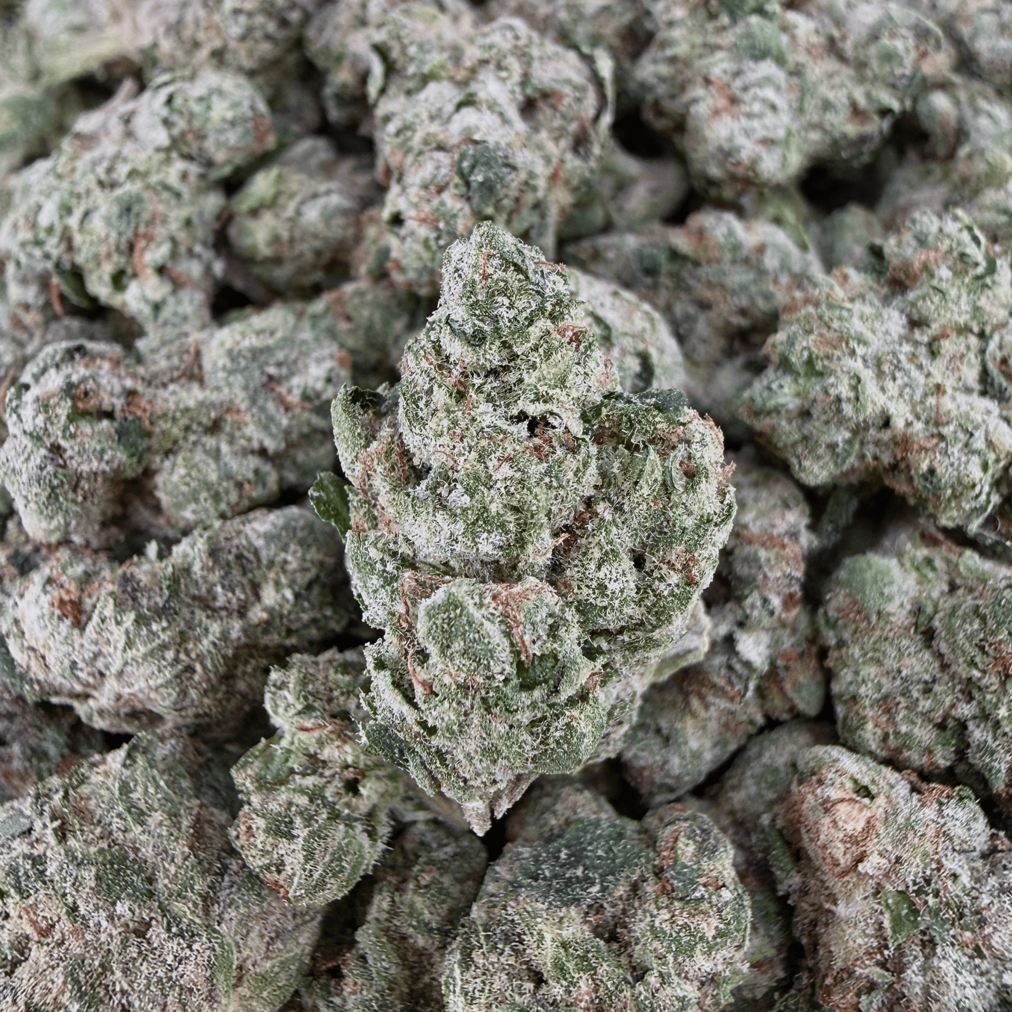 Blue Nerd THCa Smalls (Wholesale) - Valley Hemp