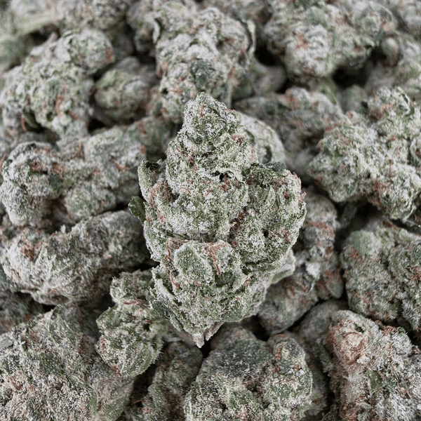 Blue Nerd THCa Smalls (Wholesale) - Valley Hemp