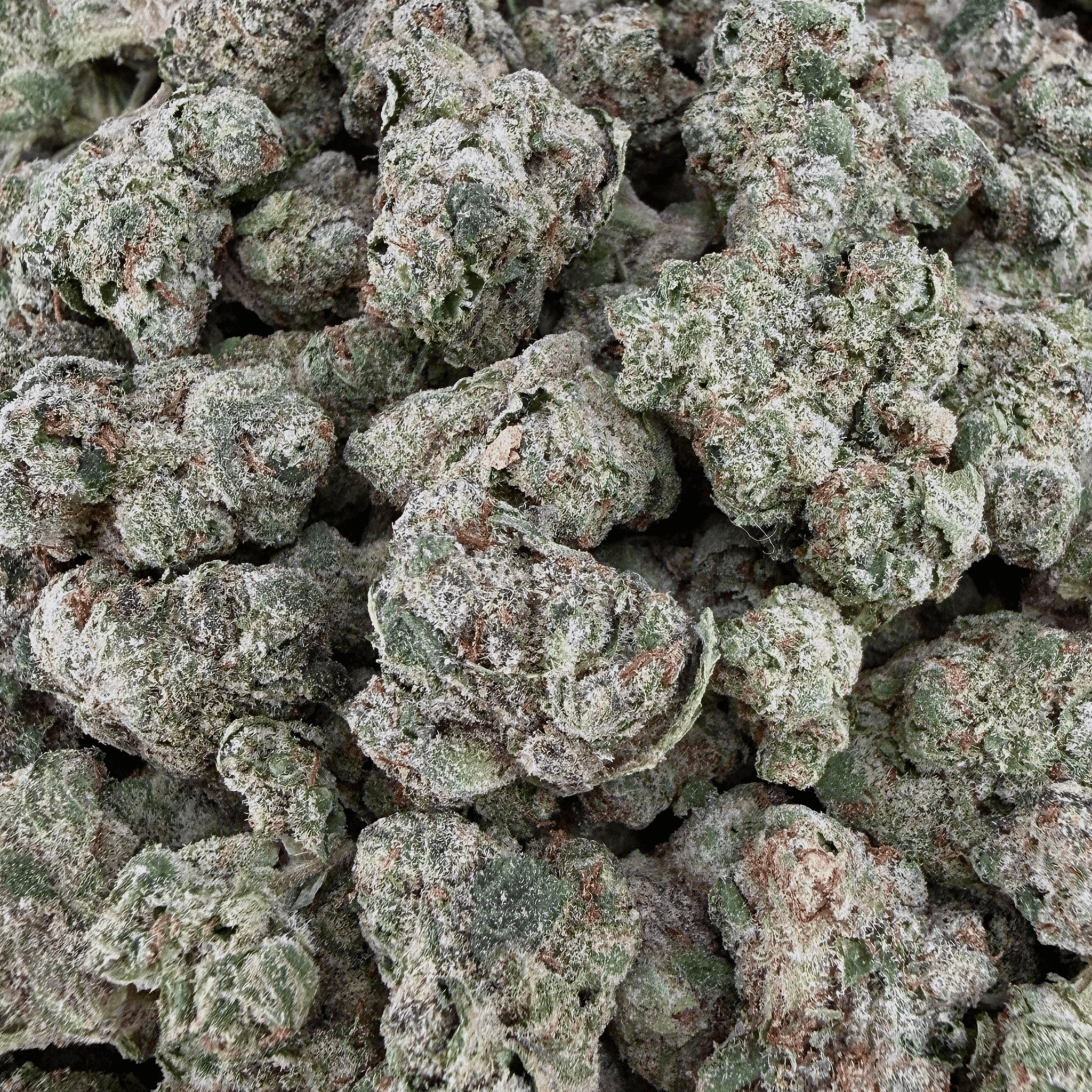 Blue Nerd THCa Smalls (Wholesale) - Valley Hemp