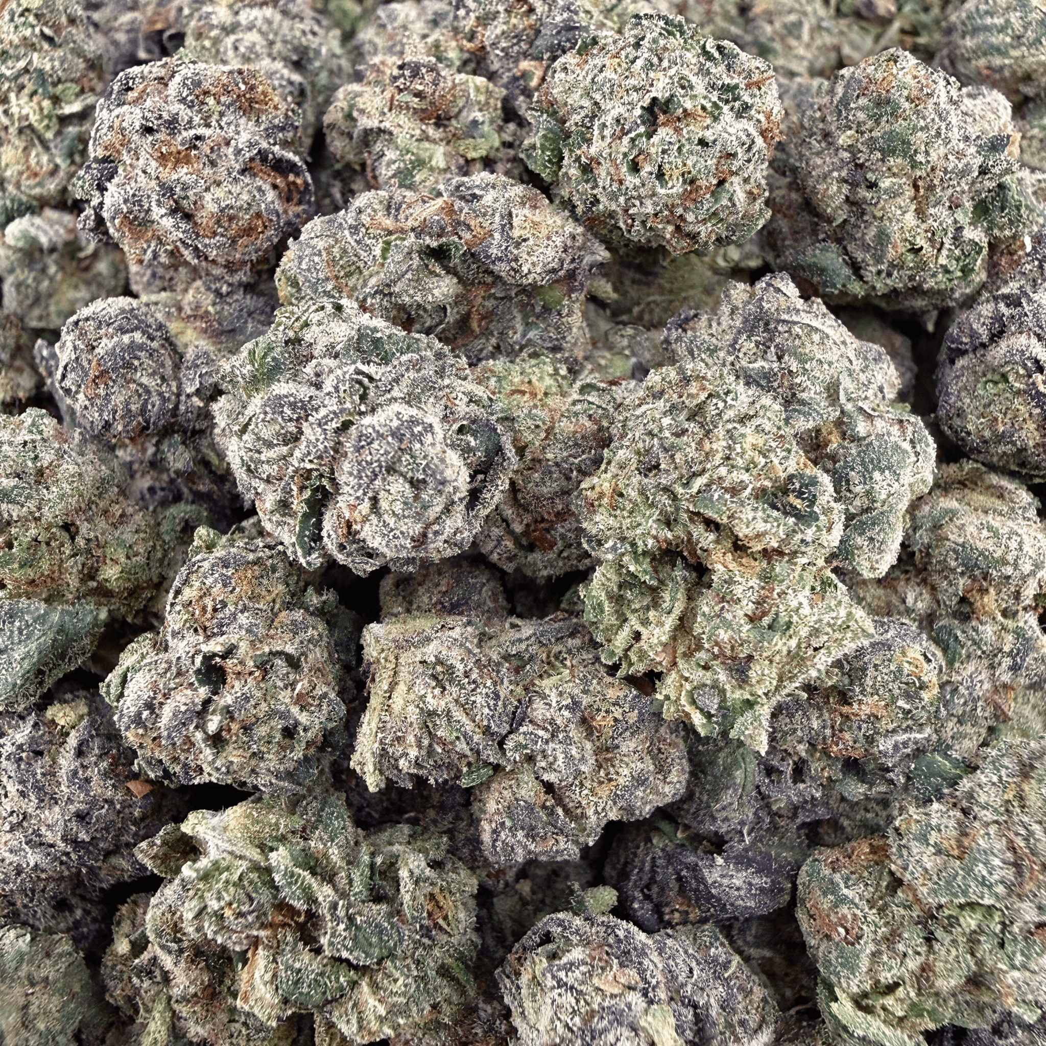 Blue Nerd THCa Smalls (Wholesale) - Valley Hemp
