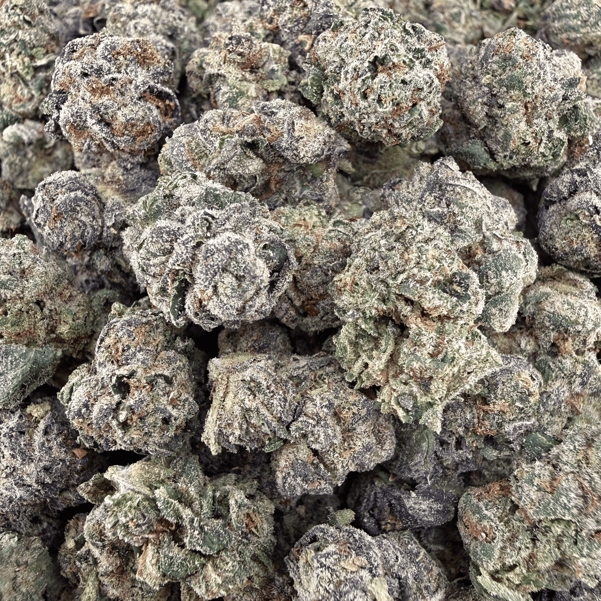 Blue Nerd THCa Smalls (Wholesale) - Valley Hemp