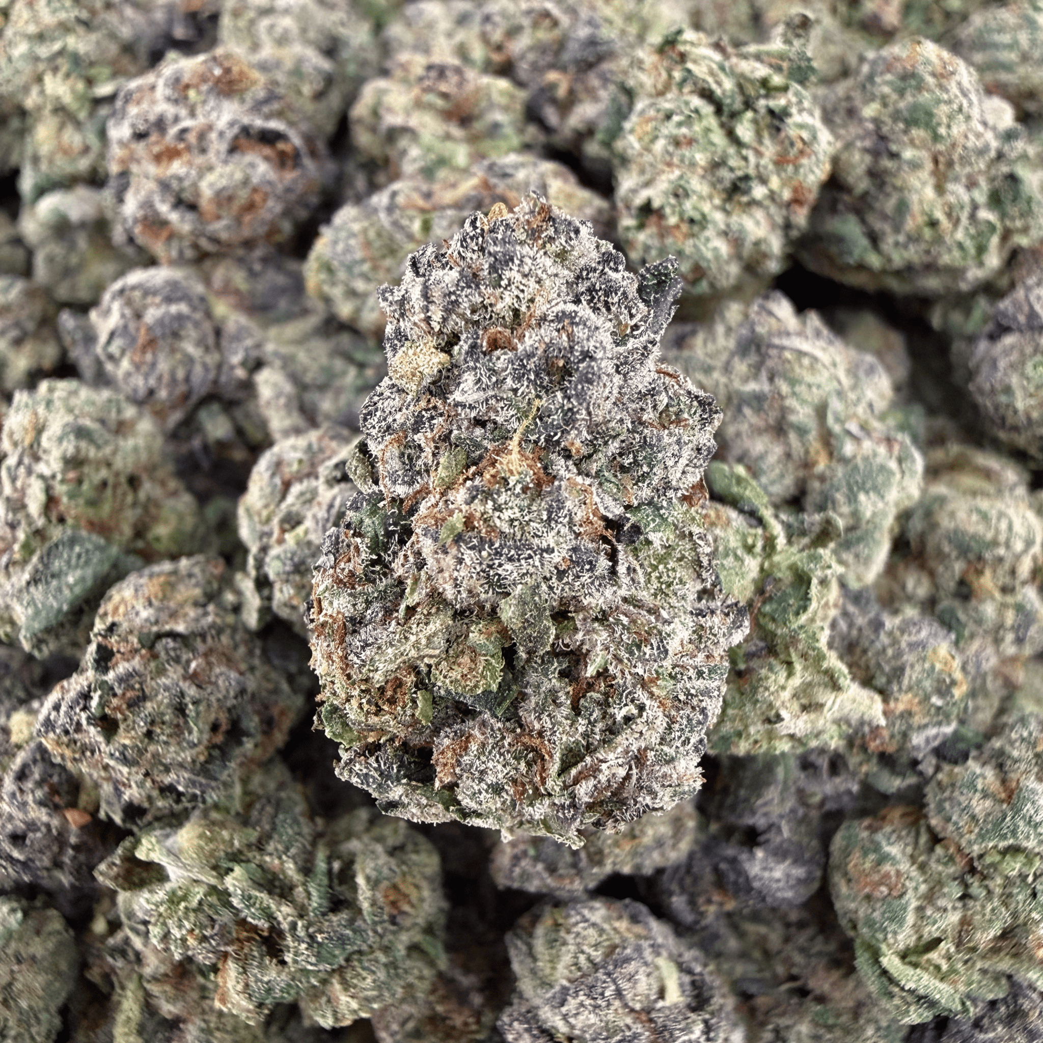 Blue Nerd THCa Smalls (Wholesale) - Valley Hemp