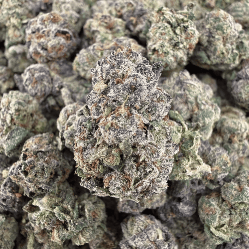 Blue Nerd THCa Smalls (Wholesale) - Valley Hemp