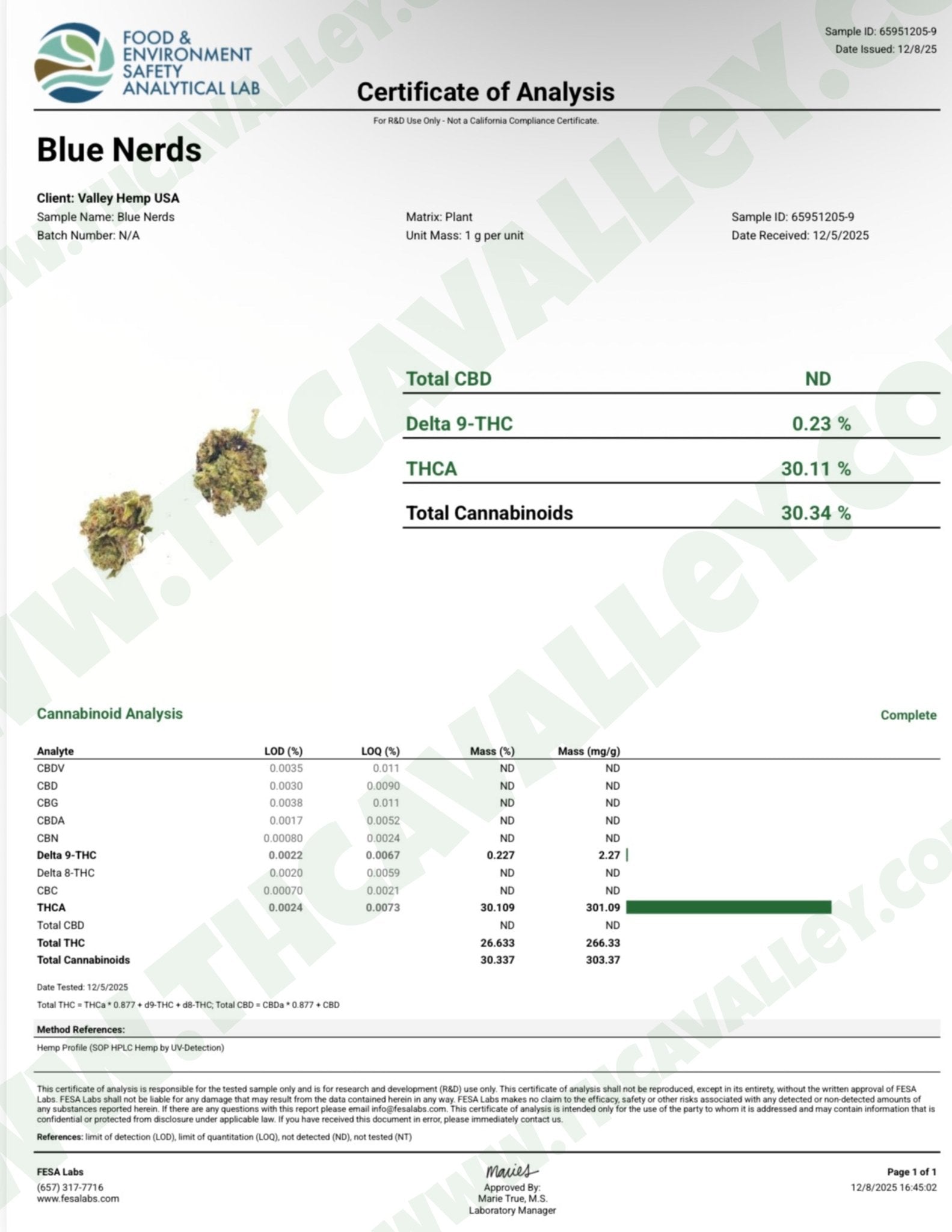 Blue Nerd- Valley Hemp
