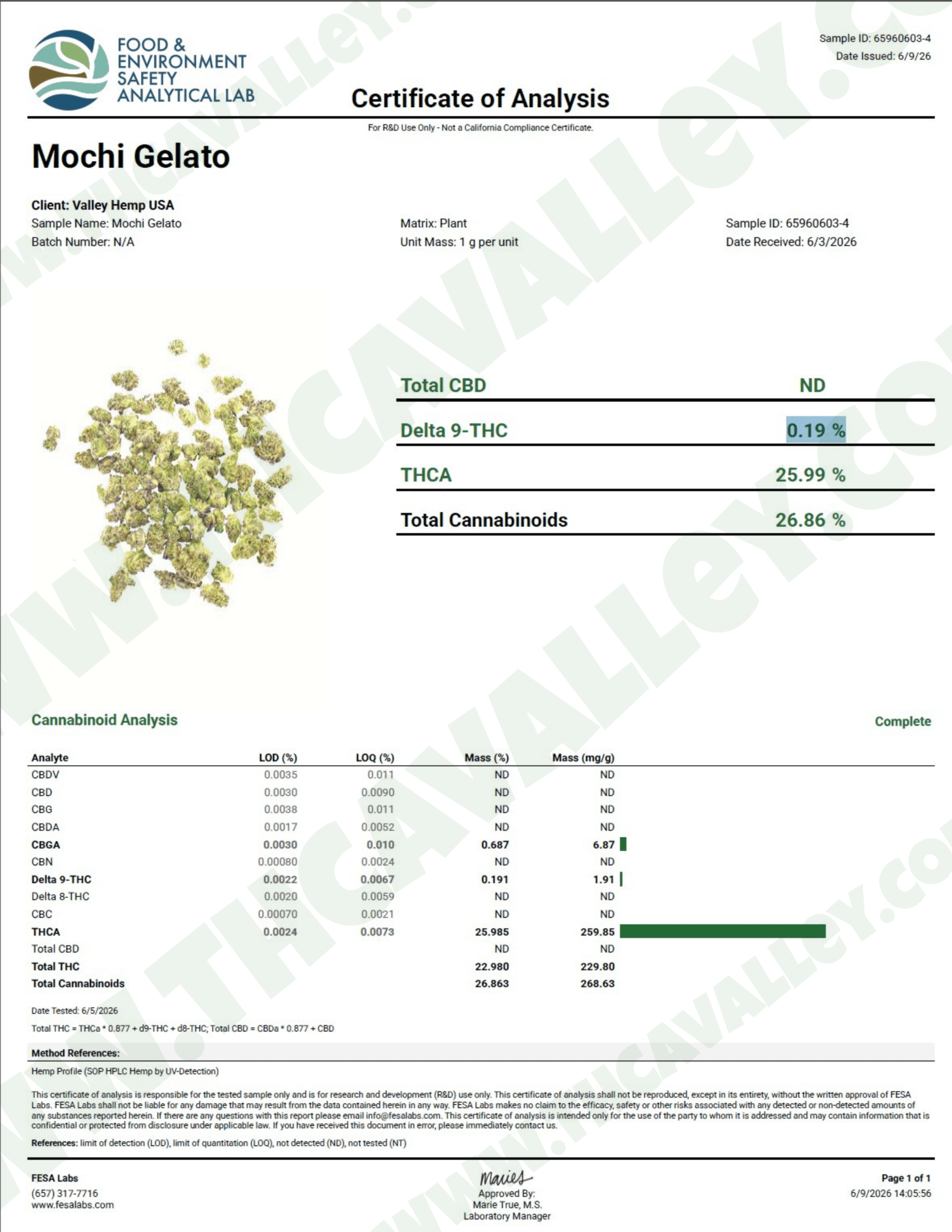 BoGo Bulk $300 : QP get QP- Mochi Gelato - Valley Hemp