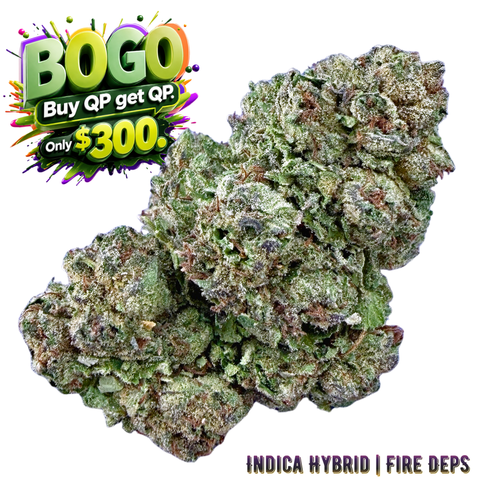 BoGo Bulk $300 : QP get QP- Mochi Gelato - Valley Hemp