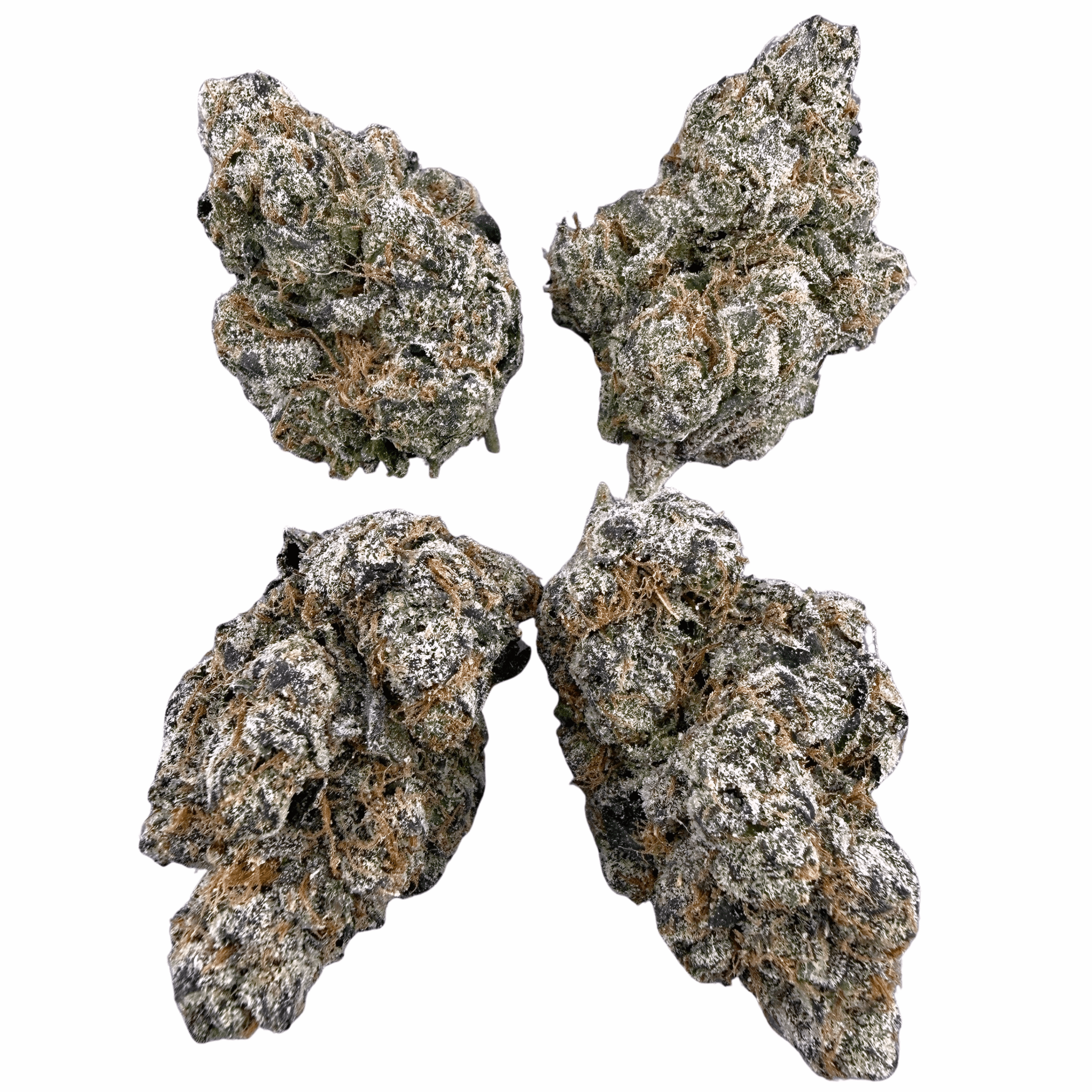 BOGO Bulk: Buy HP get QP 🍃 Exotic Birthday Cake - Valley Hemp