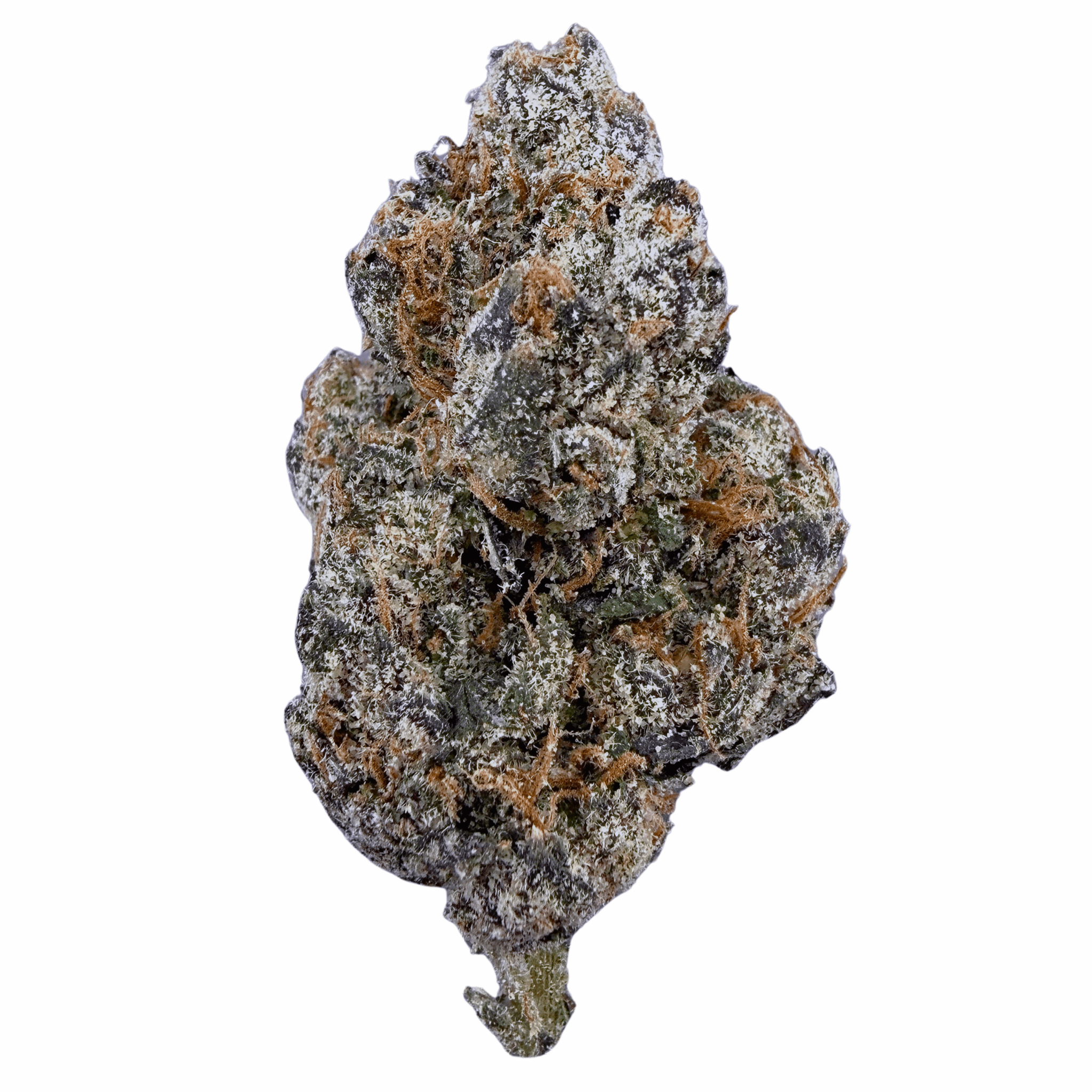BOGO Bulk: Buy HP get QP 🍃 Exotic Birthday Cake - Valley Hemp
