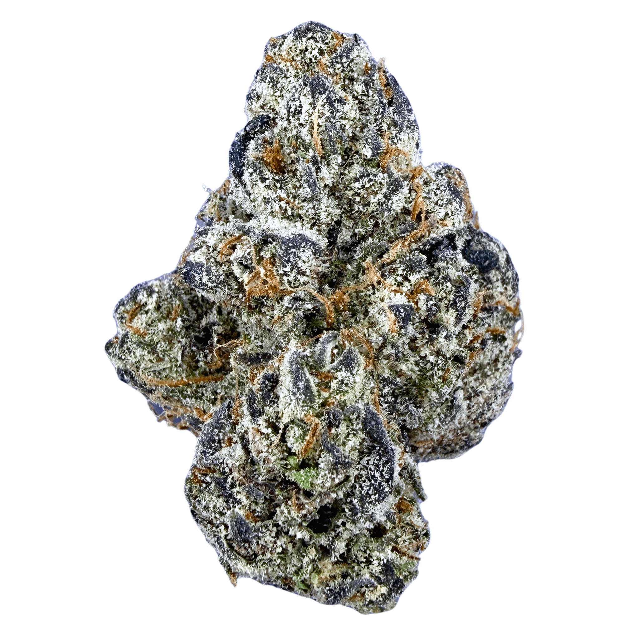 BOGO Bulk: Buy HP get QP🌿Exotic Black Cherry Gelato - Valley Hemp